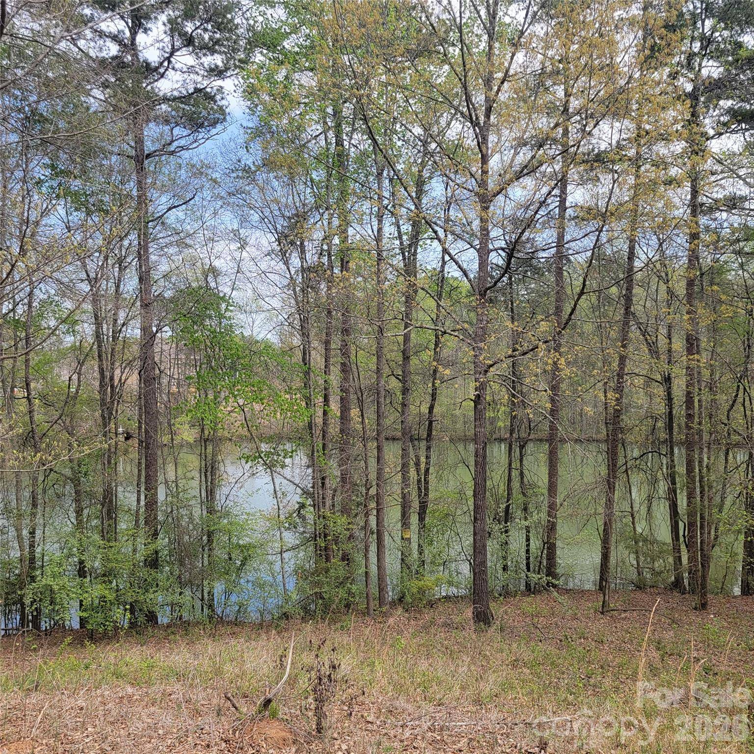 230 Walnut ST, Belmont, NC 28012