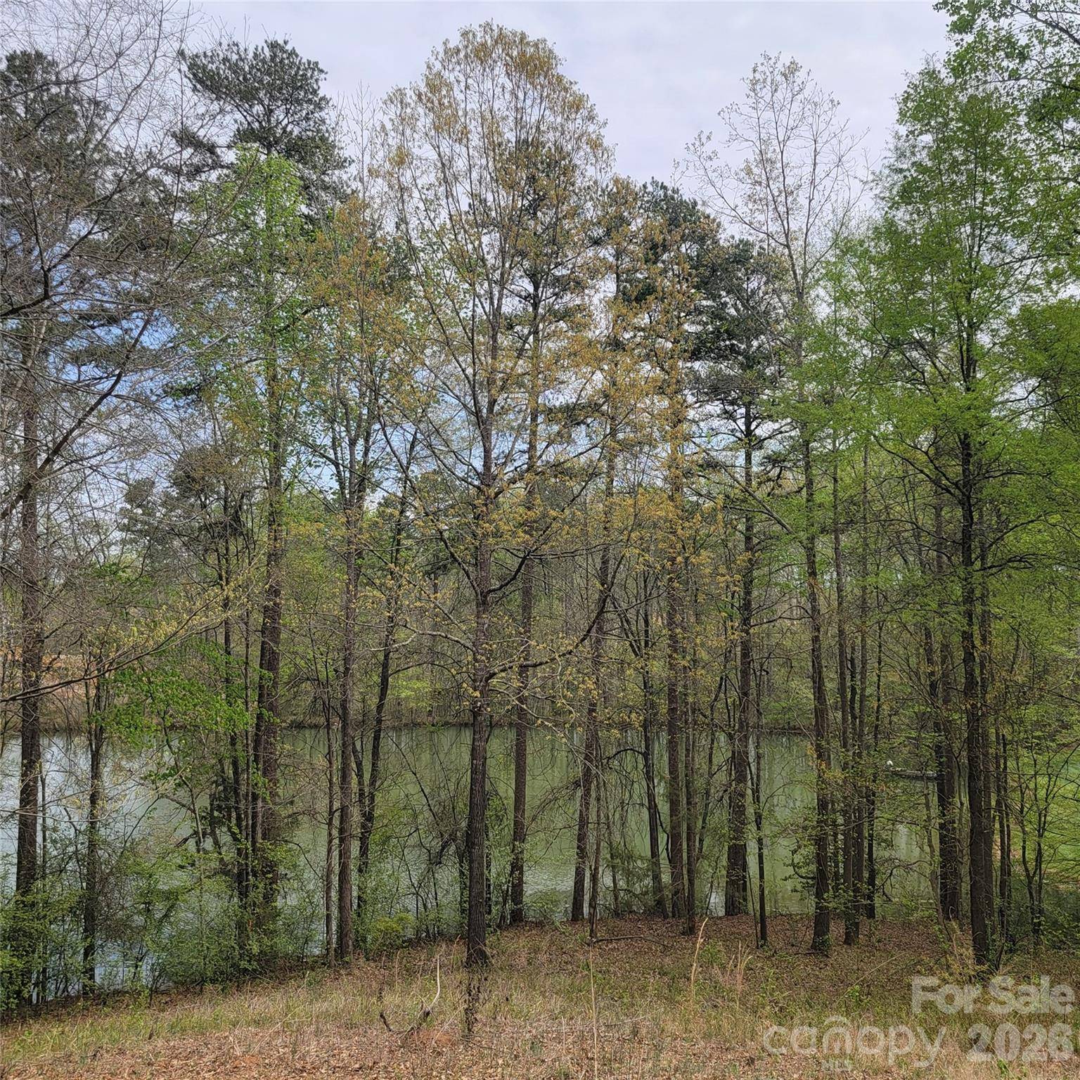 230 Walnut ST, Belmont, NC 28012