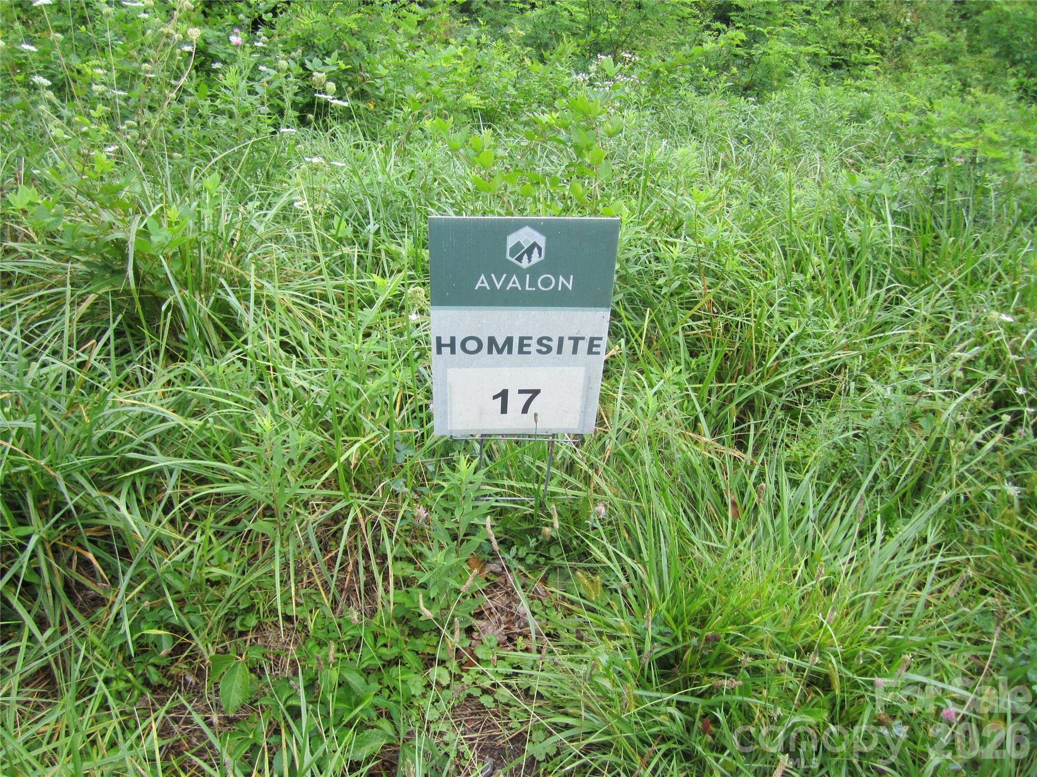 000 Signature Row BLVD #Lot 17, Waynesville, NC 28785