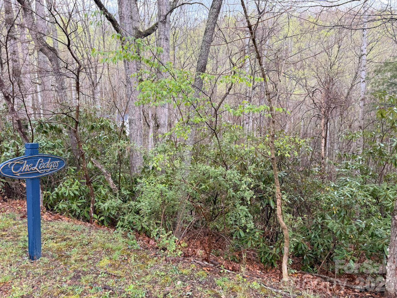 000 Ridgeview DR, Hendersonville, NC 28791