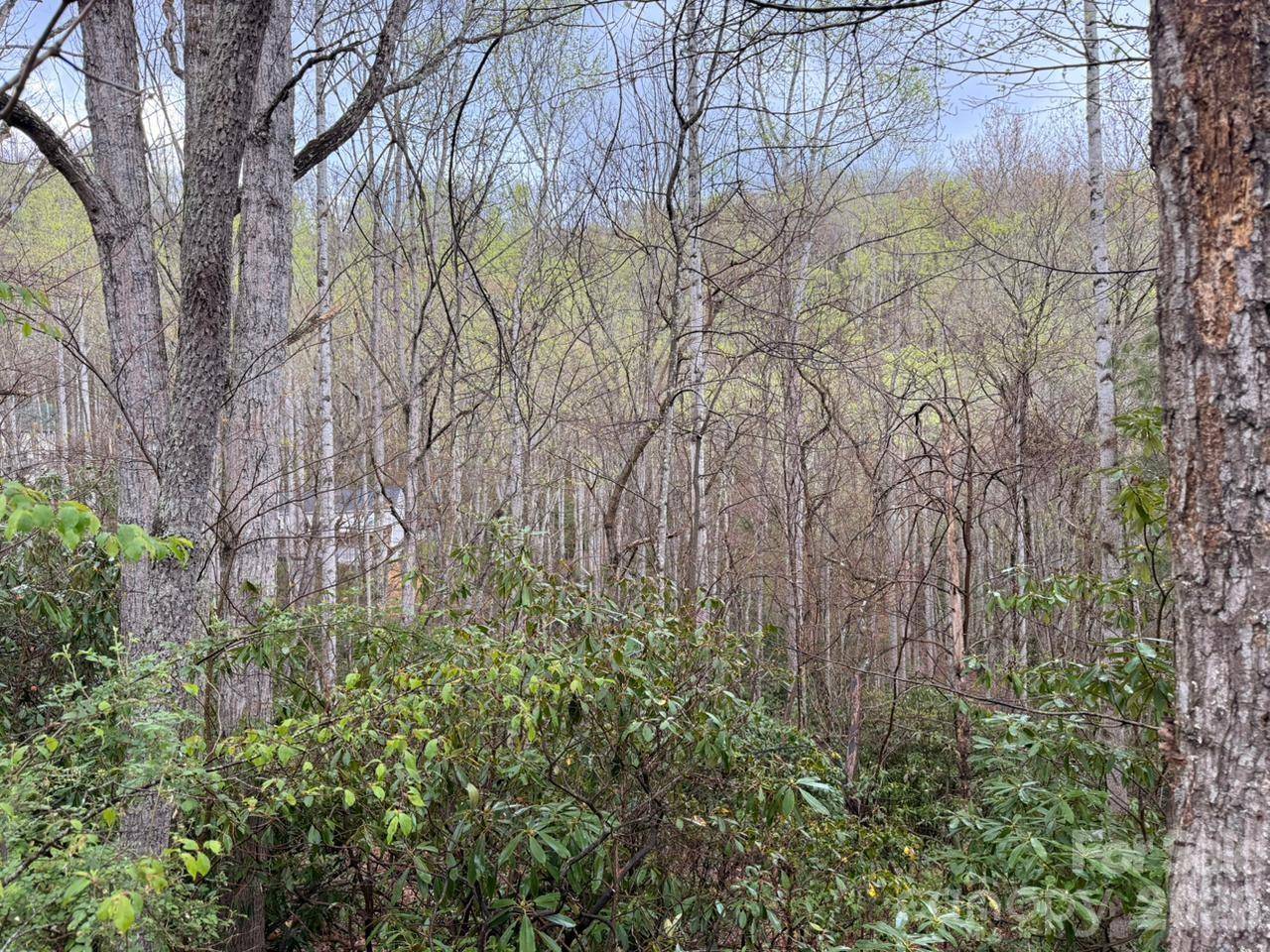 000 Ridgeview DR, Hendersonville, NC 28791