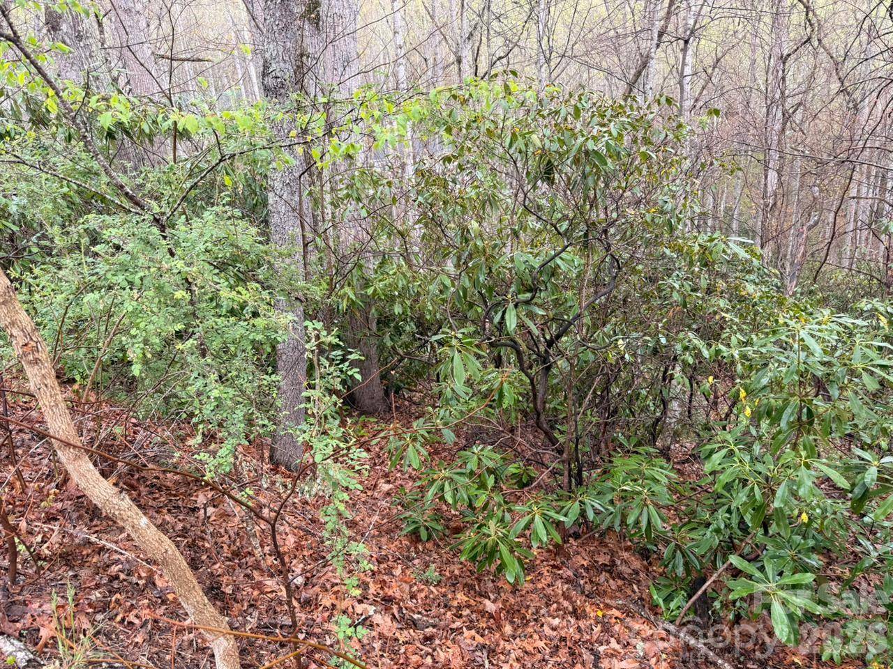 000 Ridgeview DR, Hendersonville, NC 28791