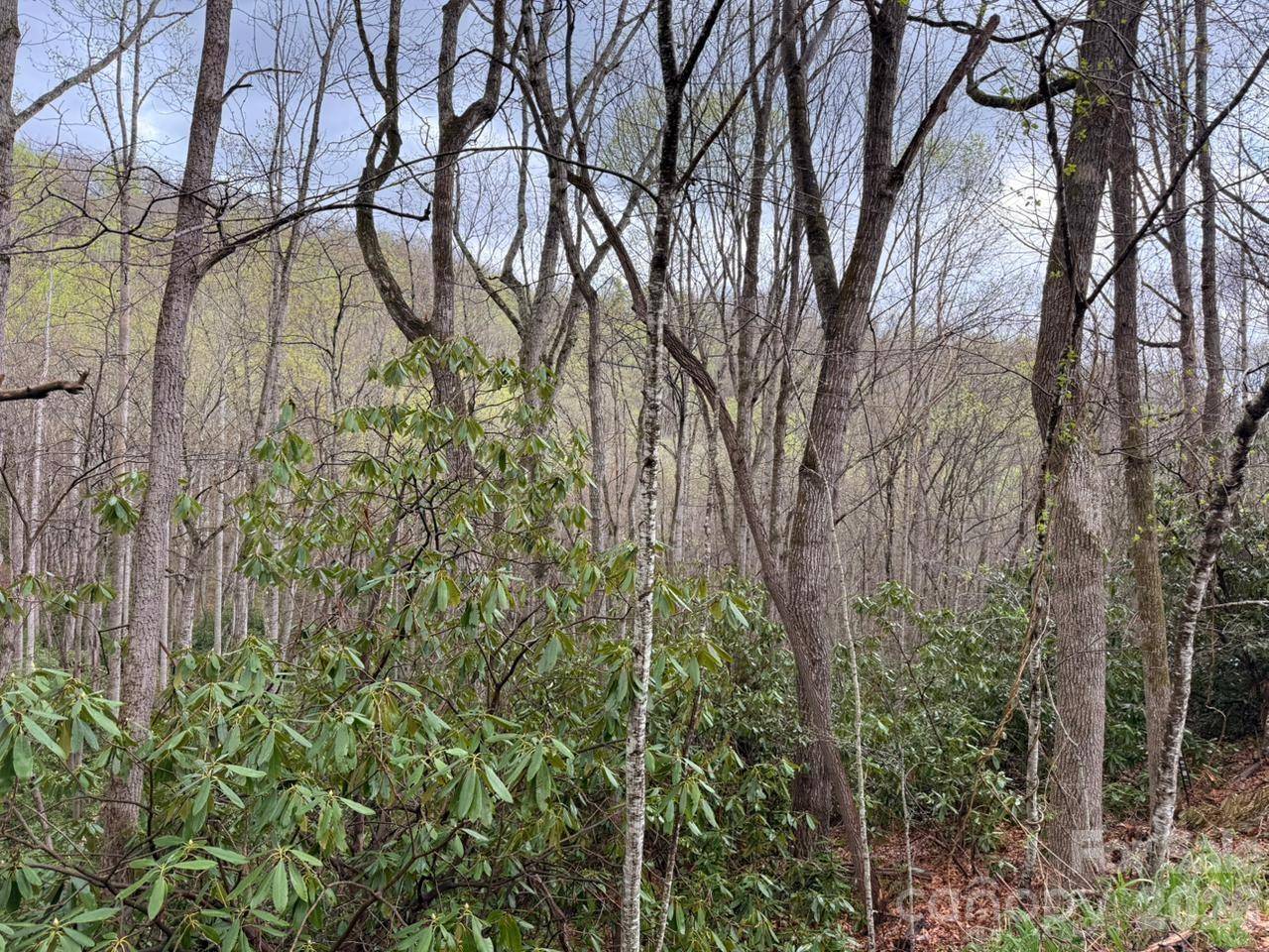 000 Ridgeview DR, Hendersonville, NC 28791