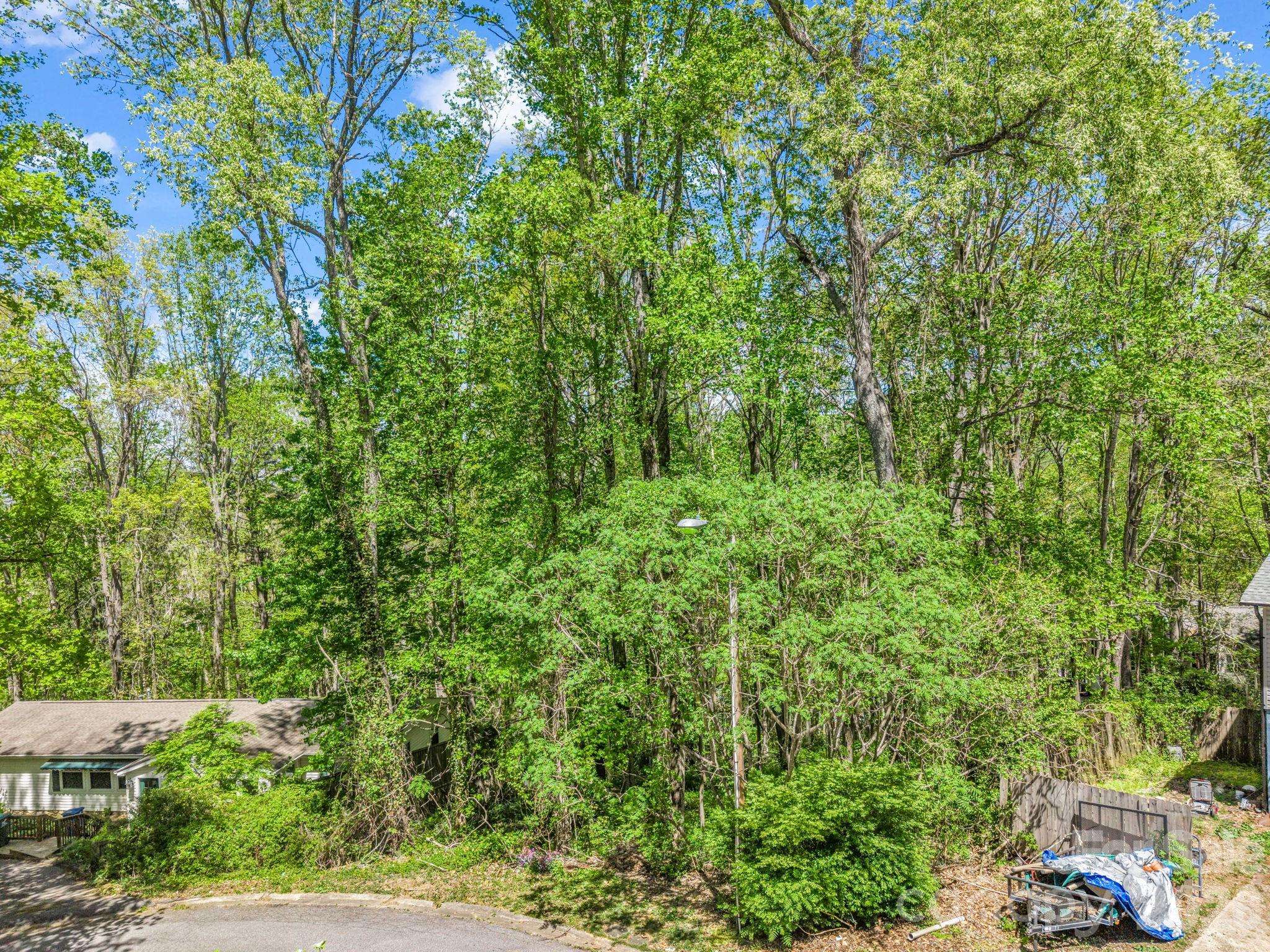 99999 Mountain Site LN, Asheville, NC 28803