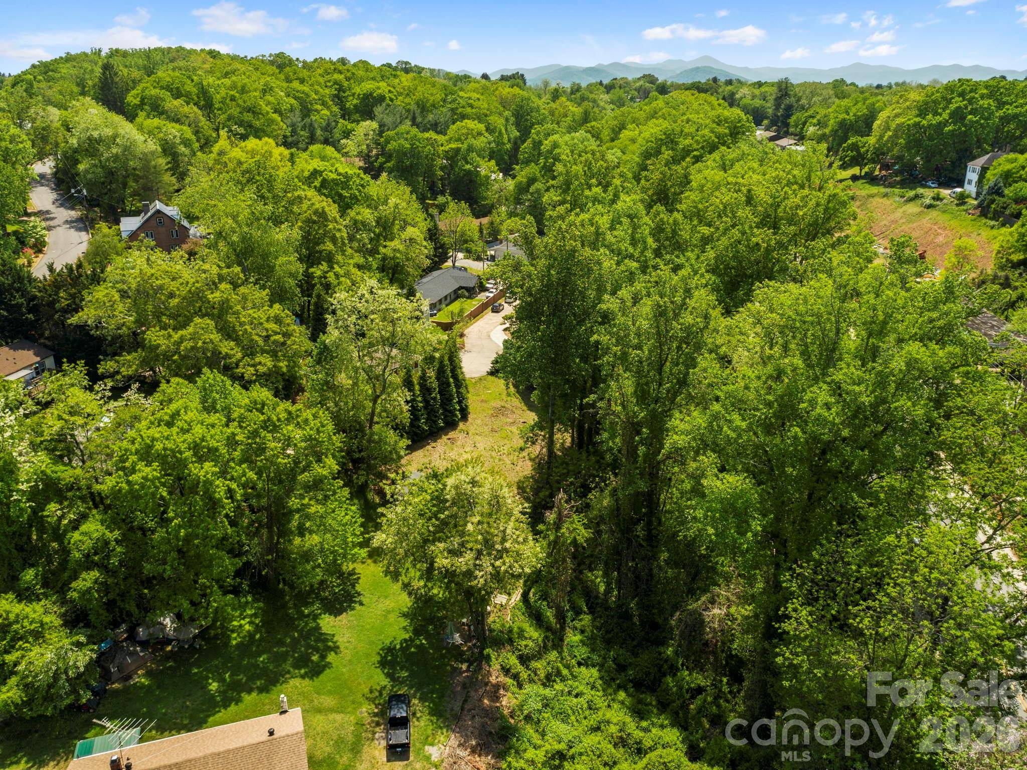 20 Riverlink LN, Asheville, NC 28806