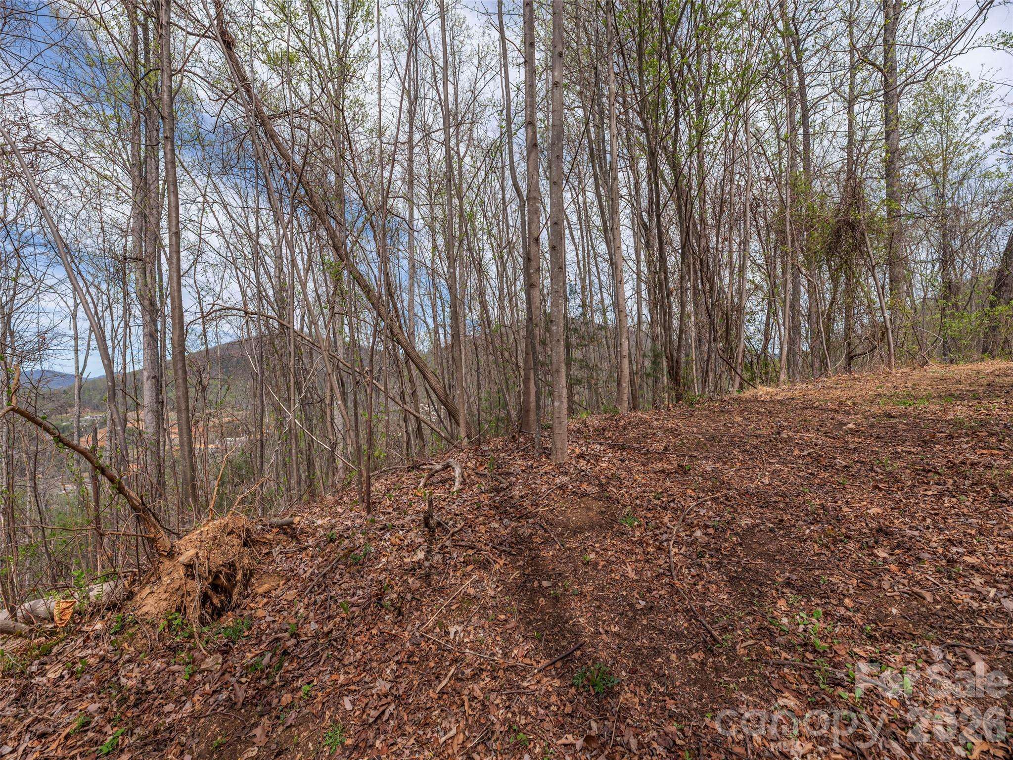 137 & 145 Cedar Mountain RD, Asheville, NC 28803