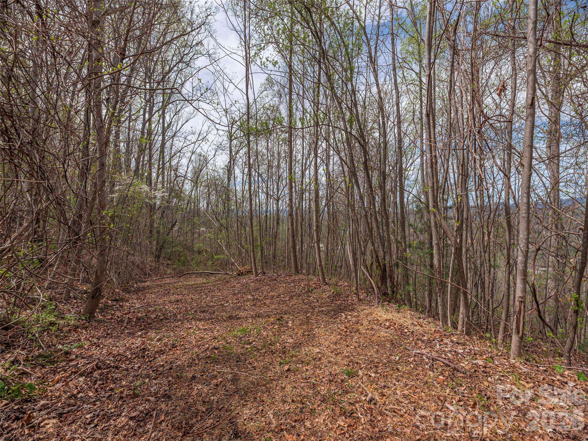 137 & 145 Cedar Mountain RD, Asheville, NC 28803
