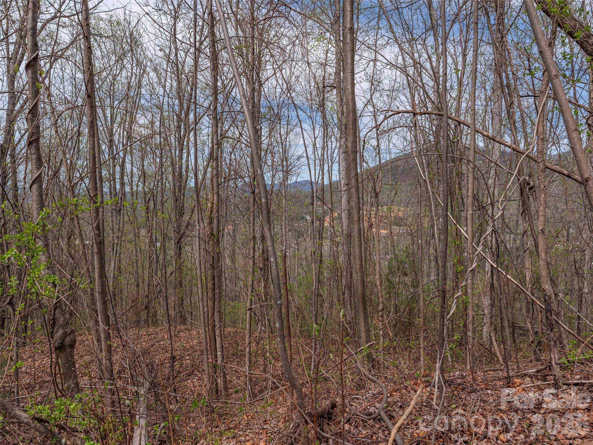 137 & 145 Cedar Mountain RD, Asheville, NC 28803
