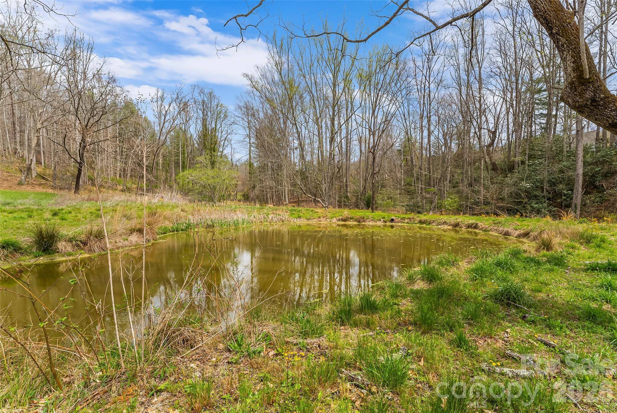 628 Brush Creek RD, Fairview, NC 28730