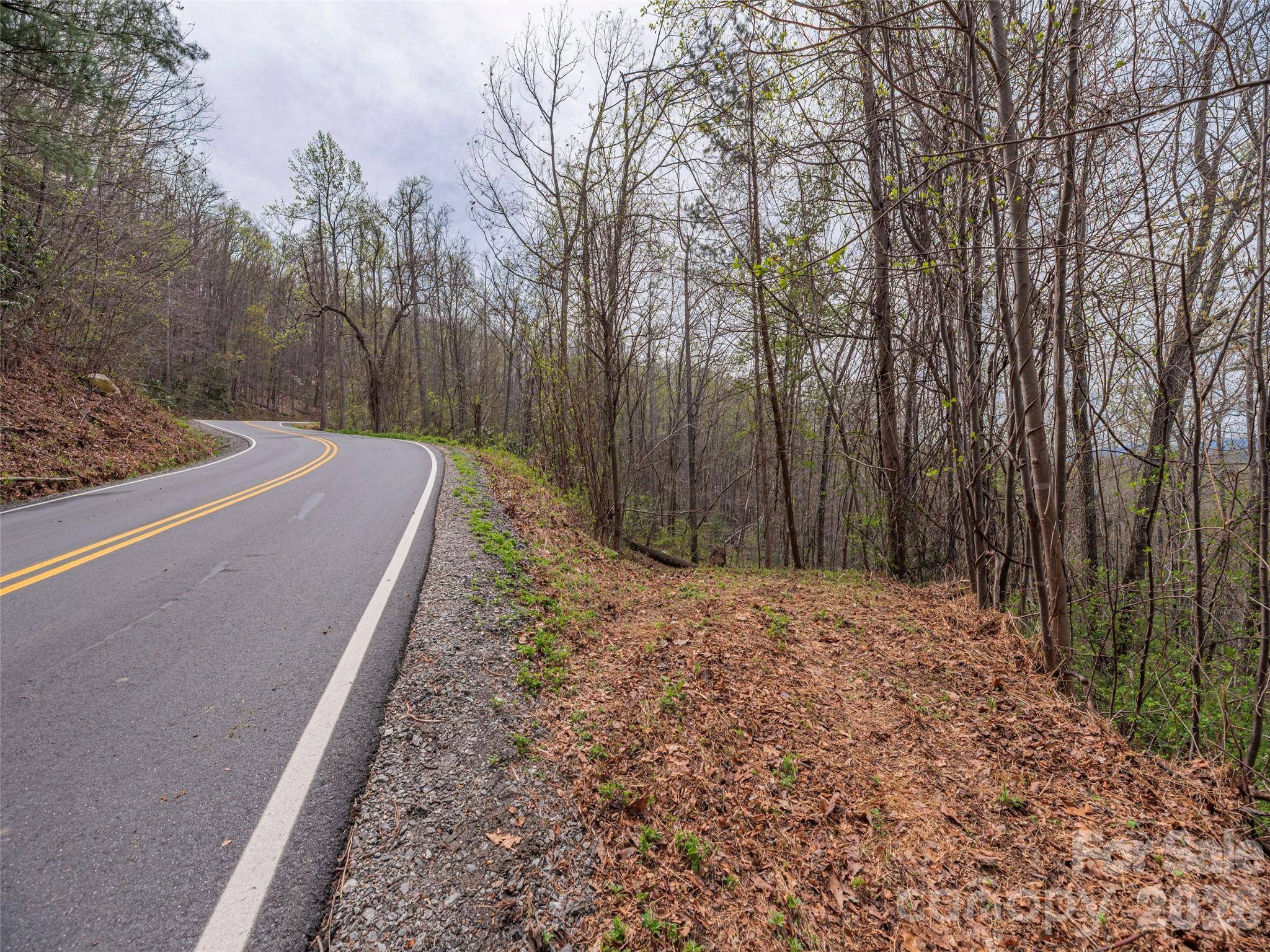 91 & 101 Cedar Mountain RD, Asheville, NC 28803