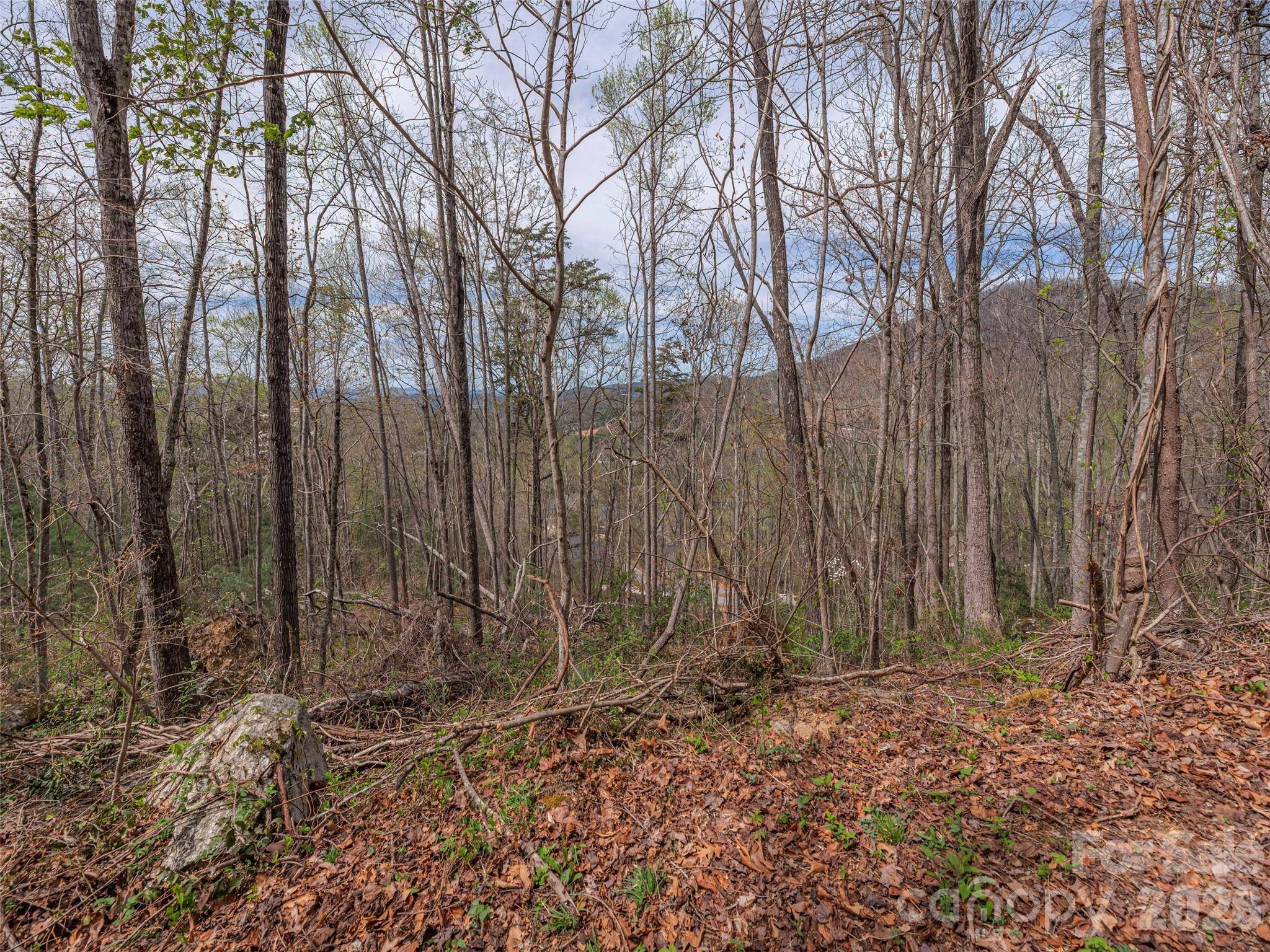 91 & 101 Cedar Mountain RD, Asheville, NC 28803