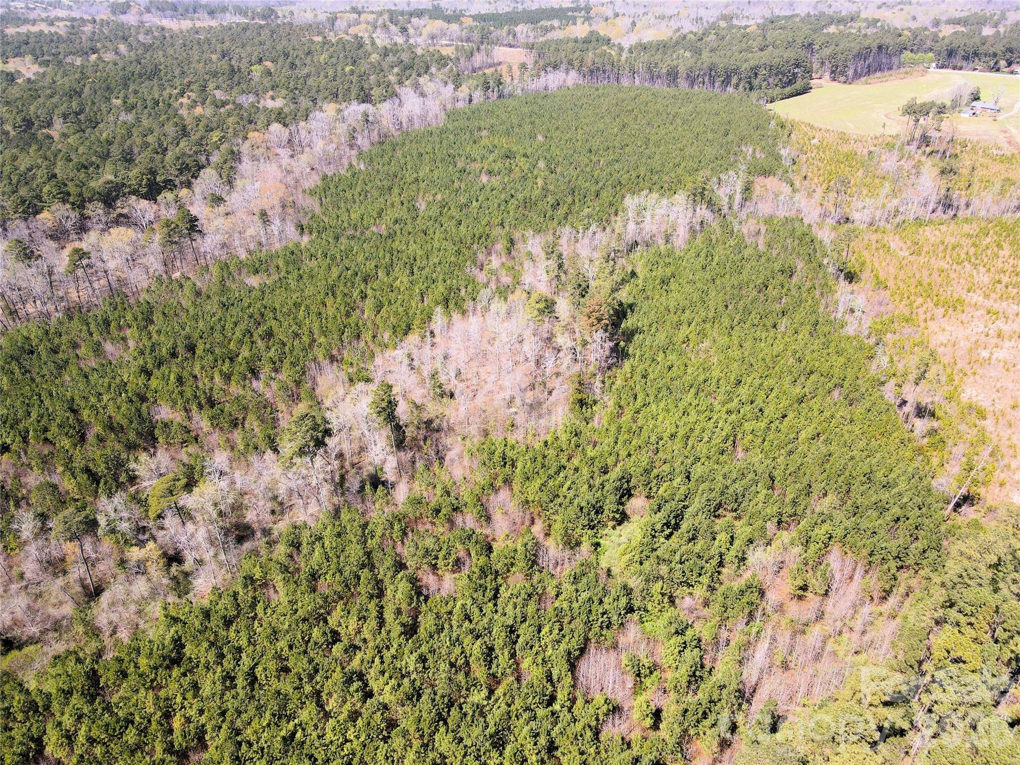 01 Collins Mountain RD, Chapel Hill, NC 27516