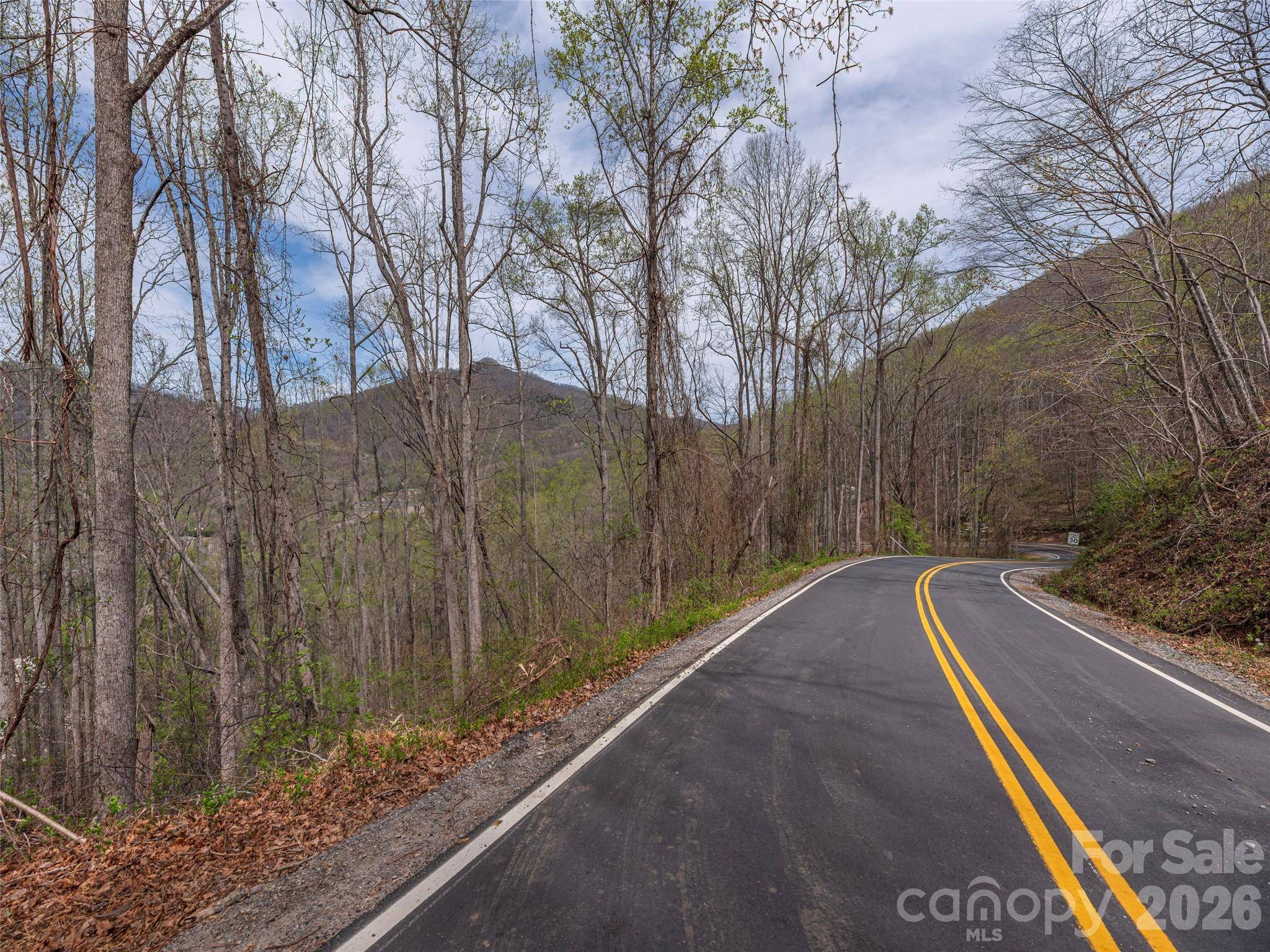 111 & 125 Cedar Mountain RD, Asheville, NC 28803