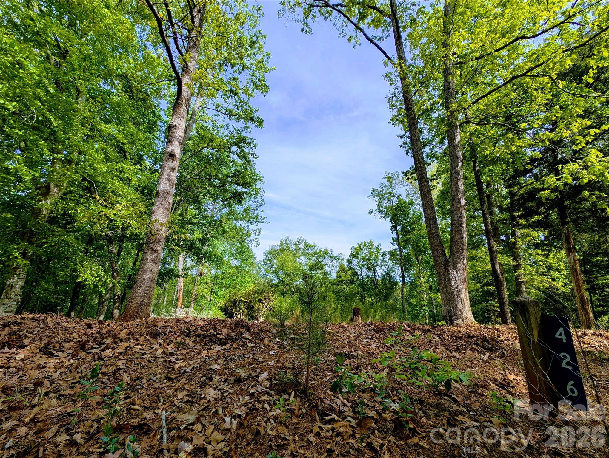426 Mountain Ridge CT, Fort Mill, SC 29707