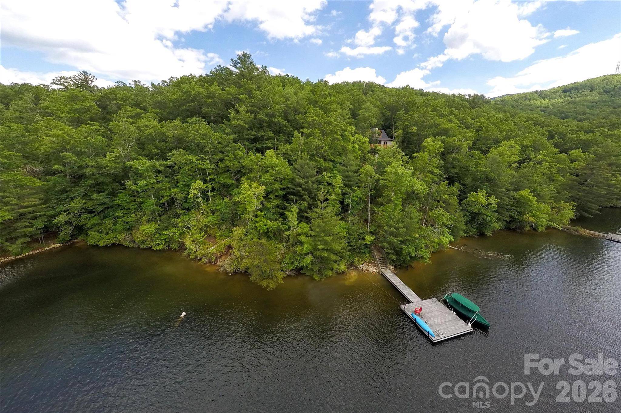 159 Songcatcher CT #159, Tuckasegee, NC 28783