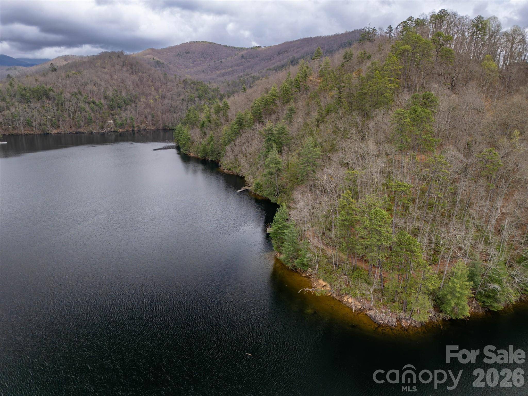 159 Songcatcher CT #159, Tuckasegee, NC 28783