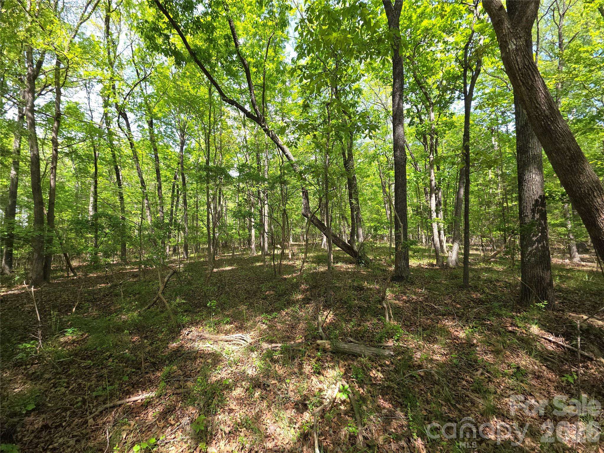 Lot 5 Wolf Pond RD, Monroe, NC 28112