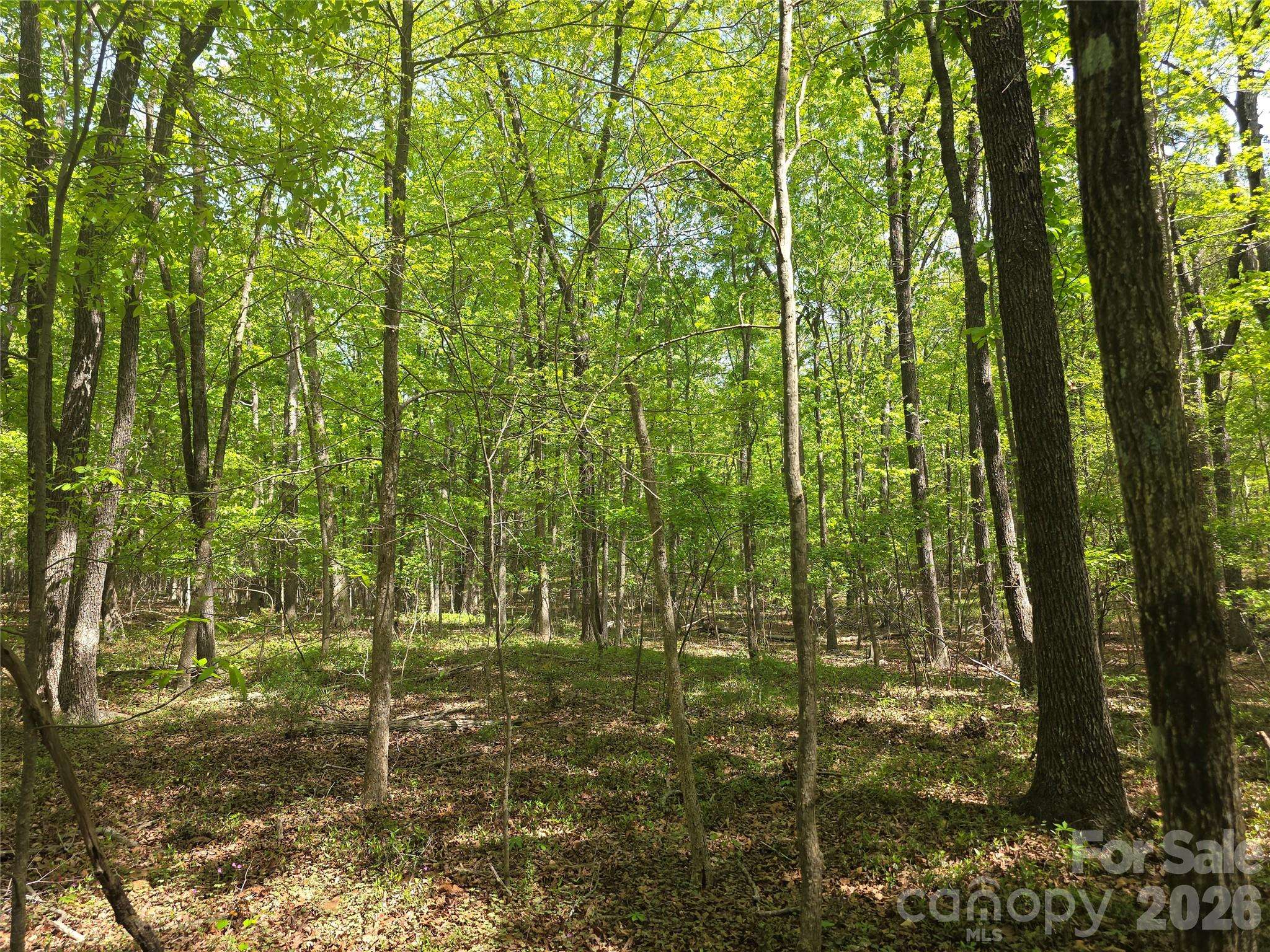 Lot 5 Wolf Pond RD, Monroe, NC 28112