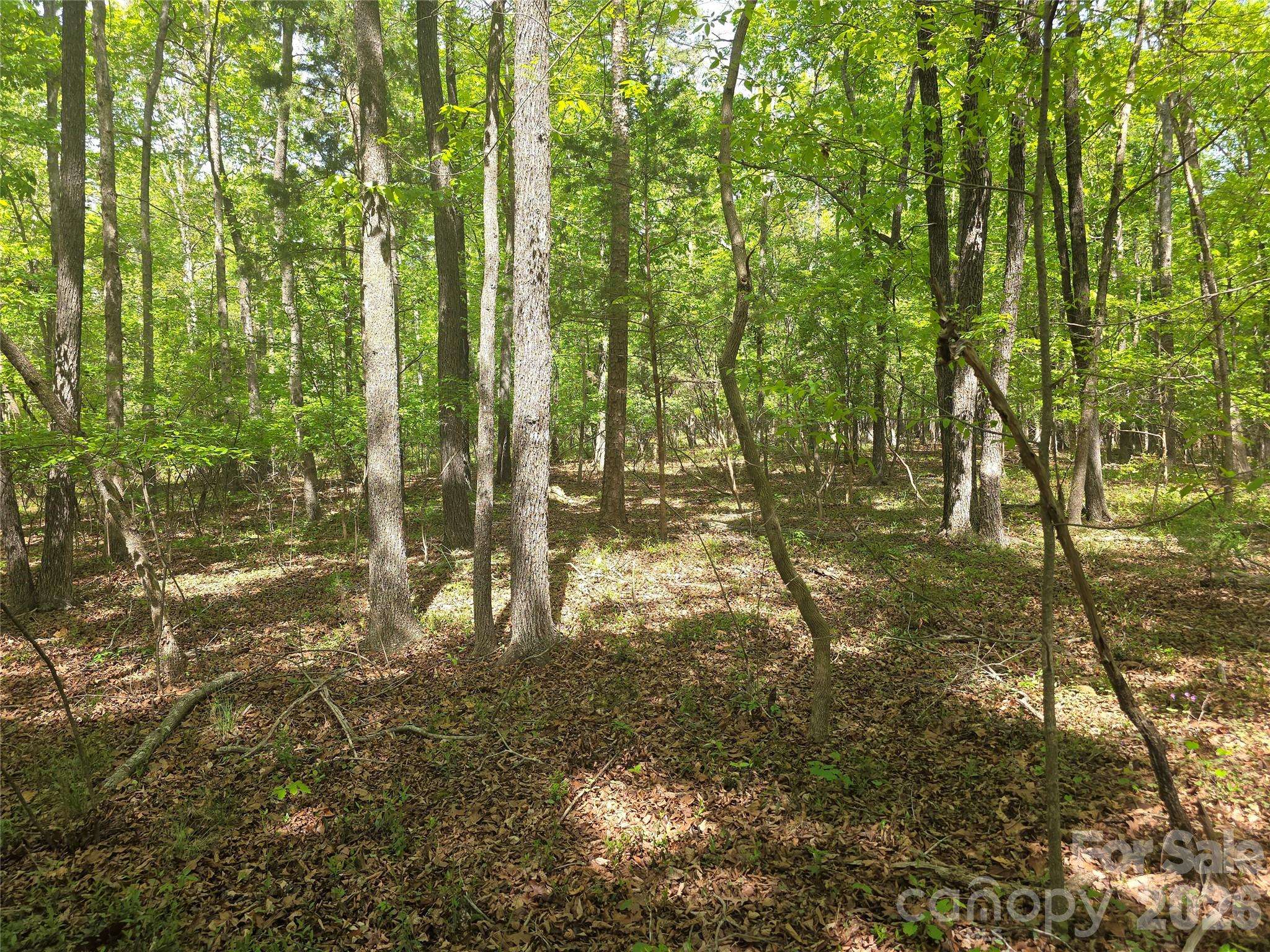 Lot 5 Wolf Pond RD, Monroe, NC 28112