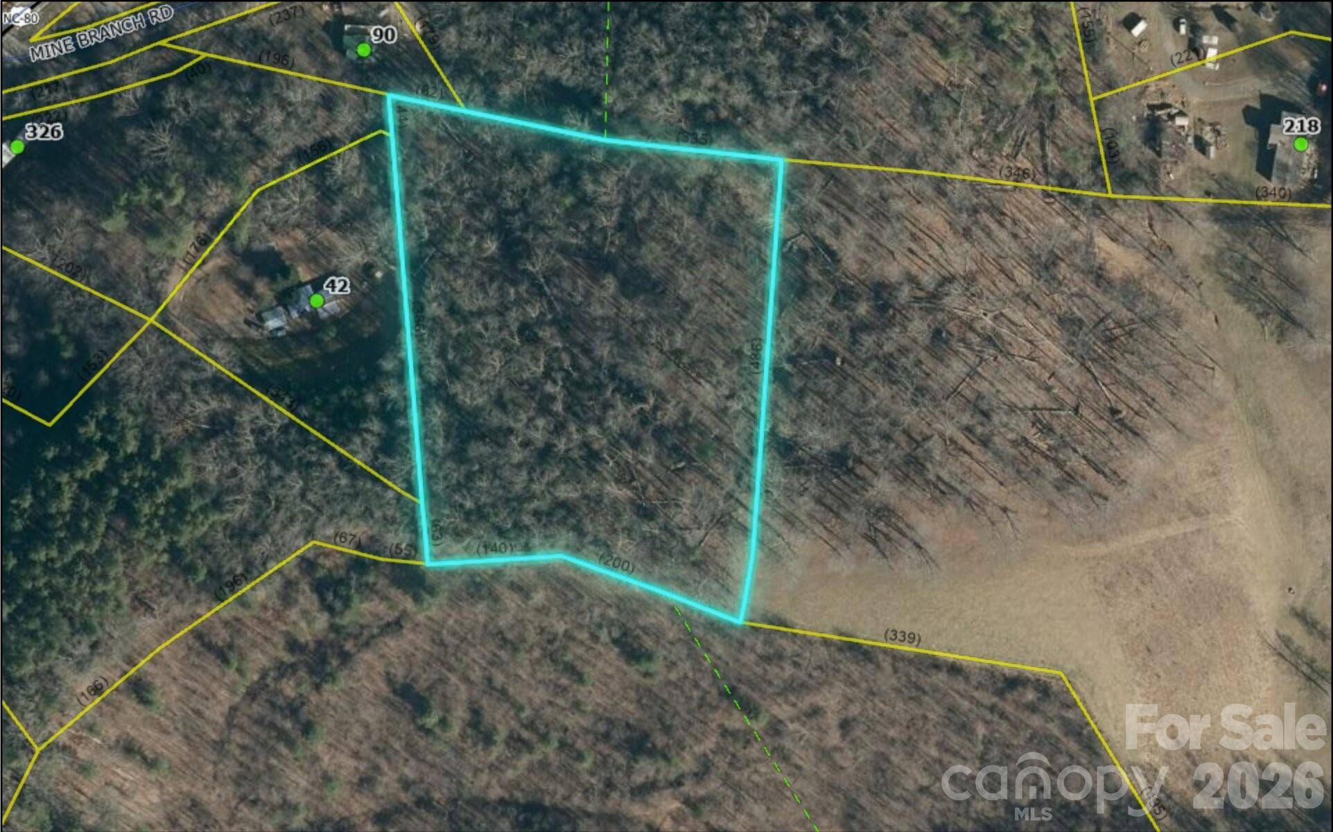 000 Mine Branch RD, Burnsville, NC 28714