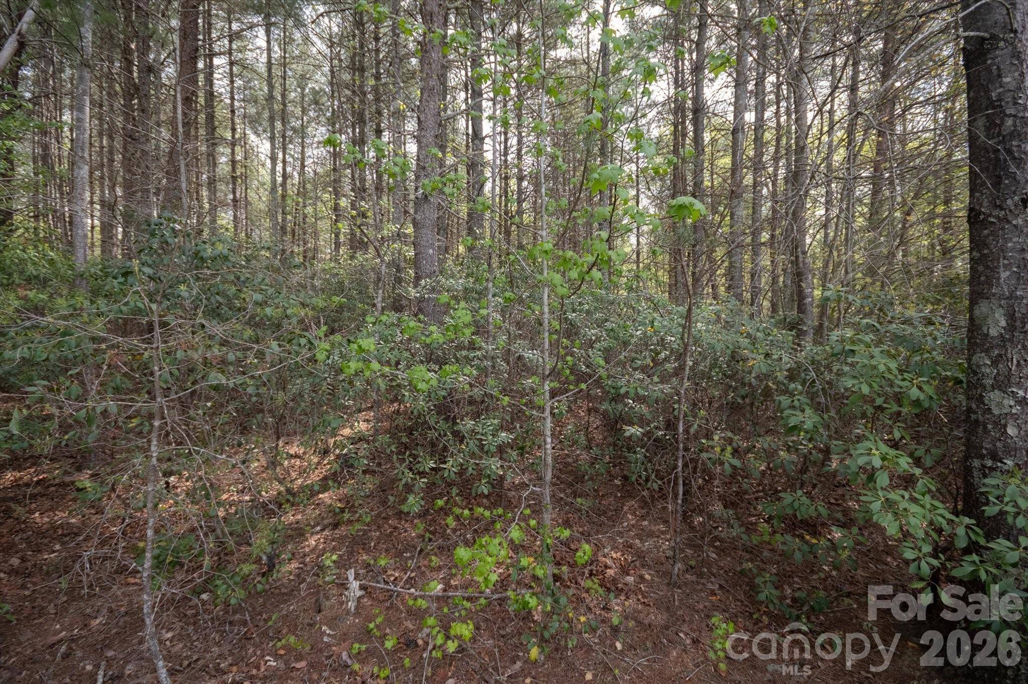 103 Big Tree WAY, Nebo, NC 28761