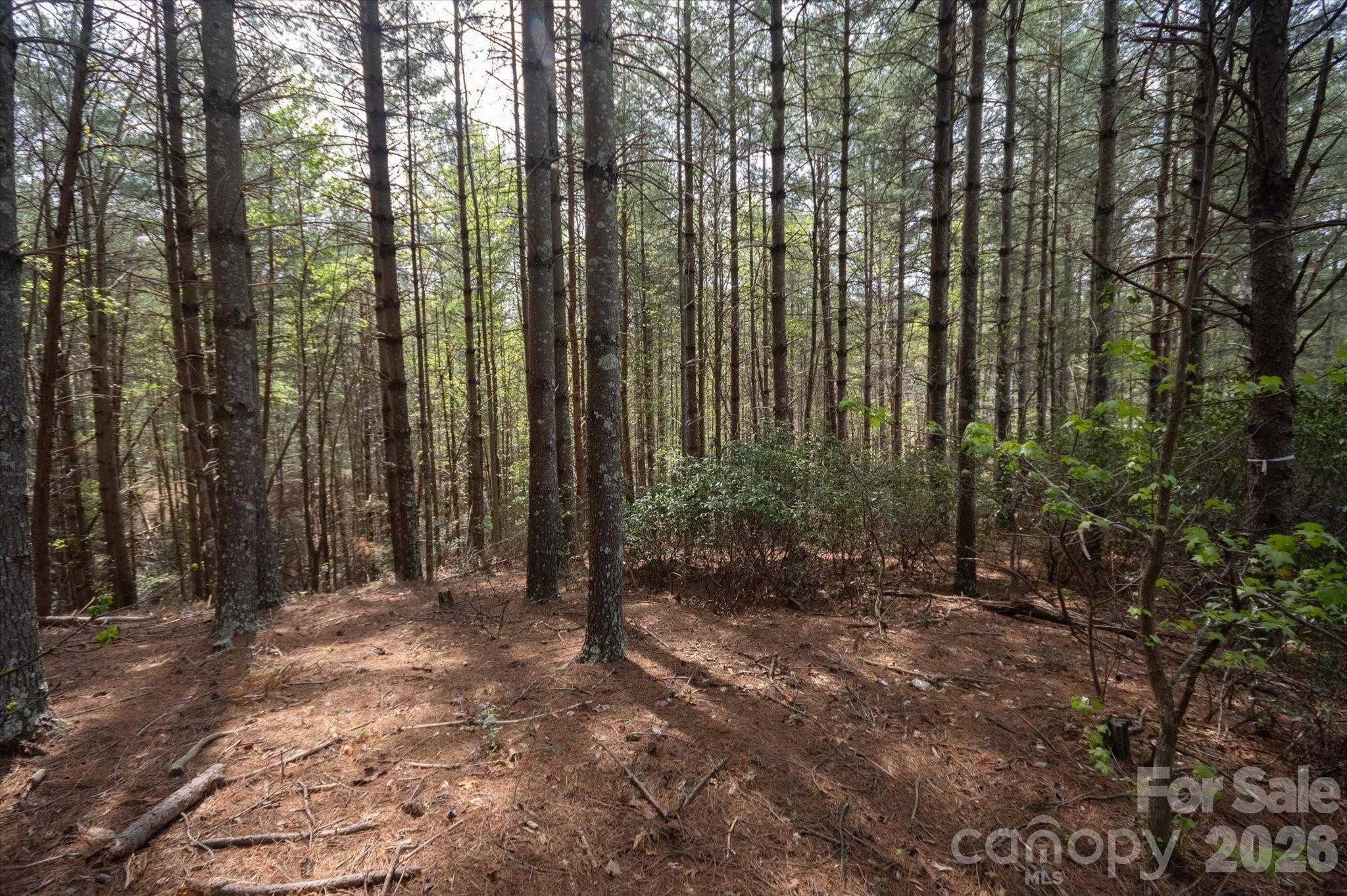 103 Big Tree WAY, Nebo, NC 28761