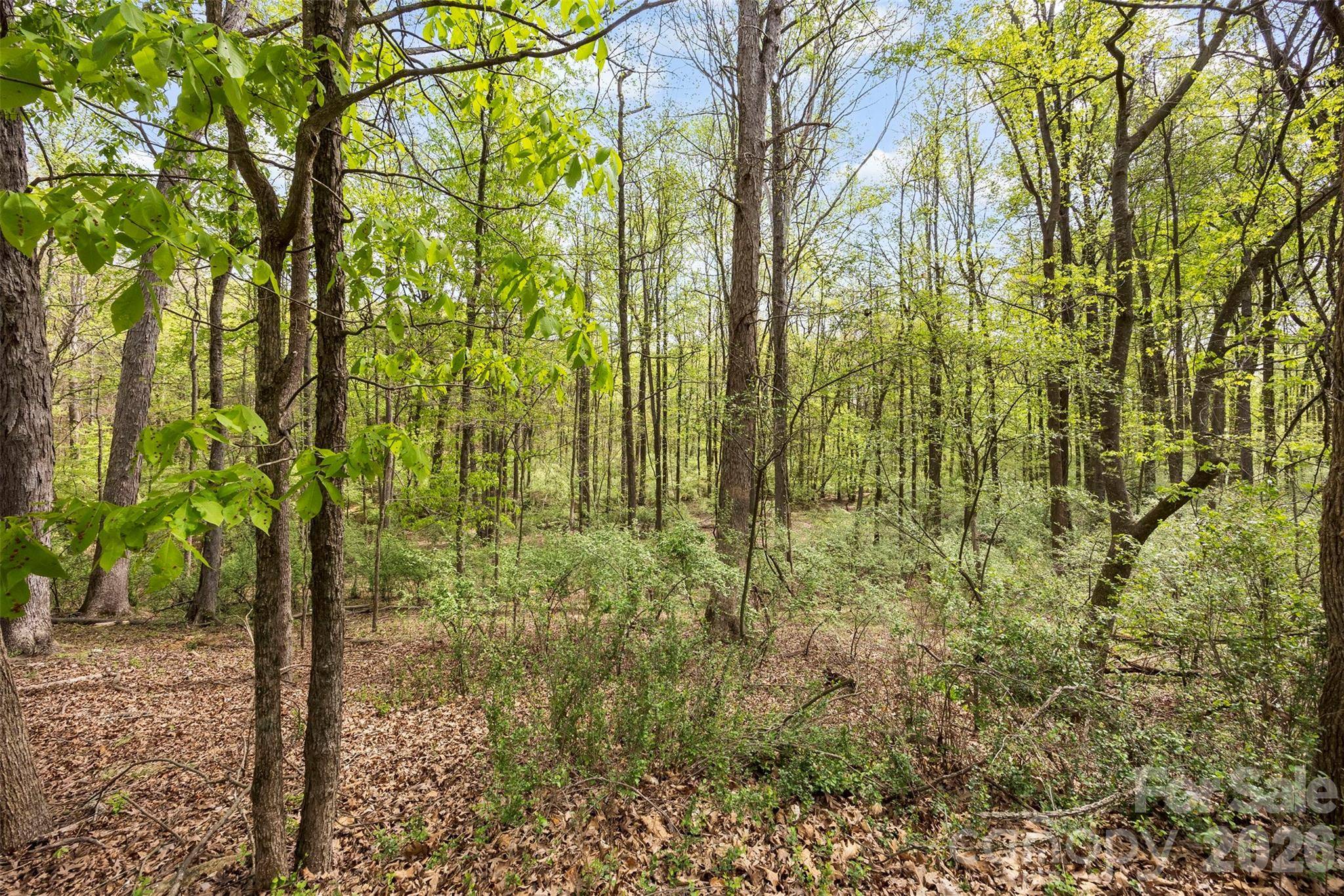 10601 Wildlife RD, Charlotte, NC 28278