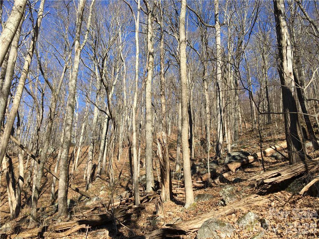 99999 Red Oak Forest RD, Fairview, NC 28730