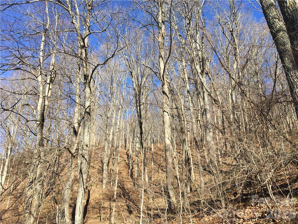99999 Red Oak Forest RD, Fairview, NC 28730