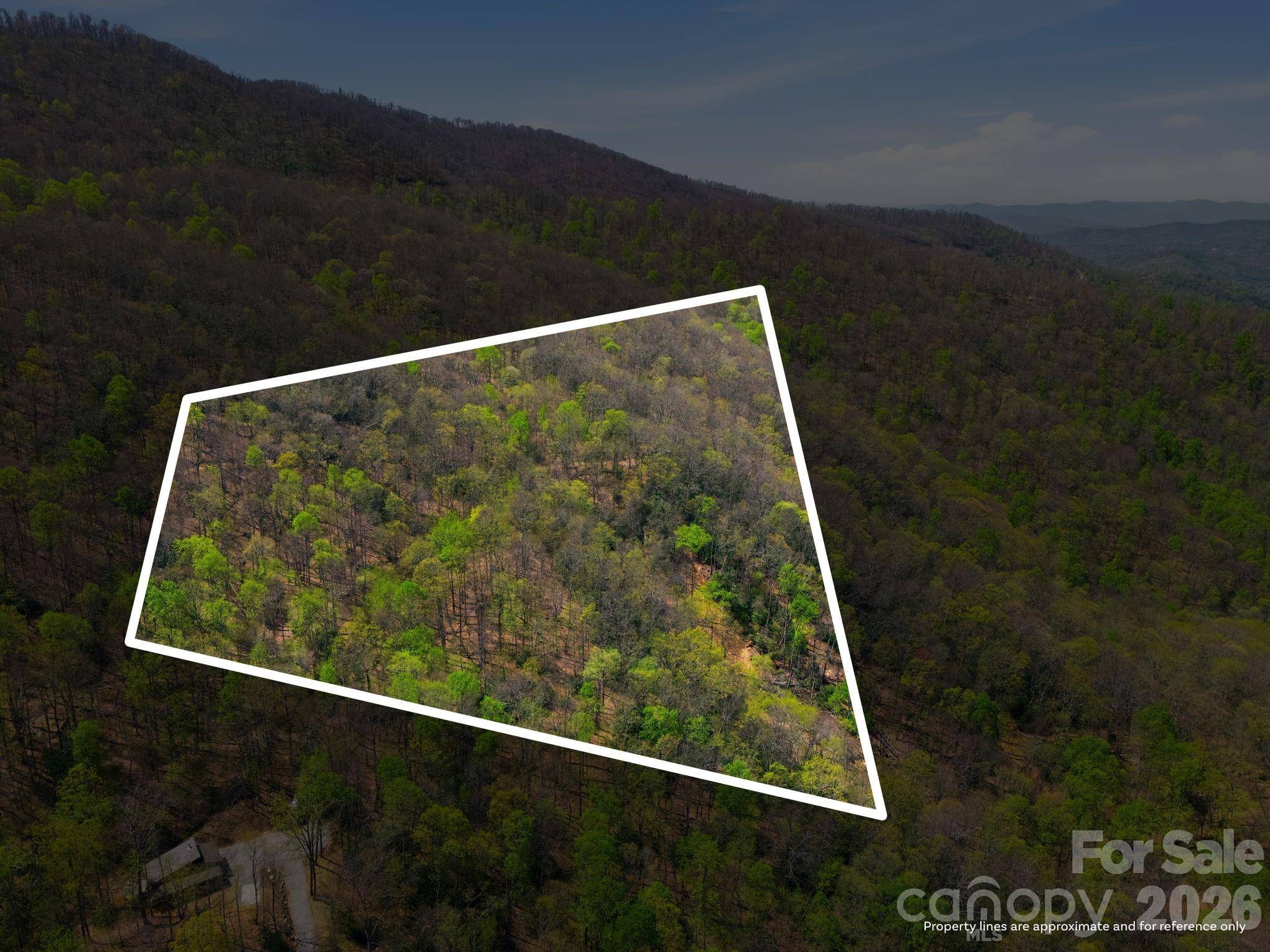 9999 Lytle Cove Road RD, Swannanoa, NC 28778