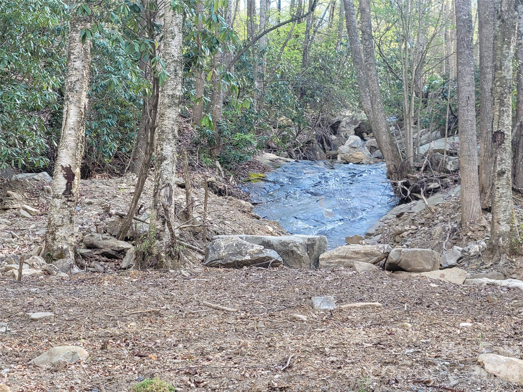 9999 Lytle Cove Road RD, Swannanoa, NC 28778