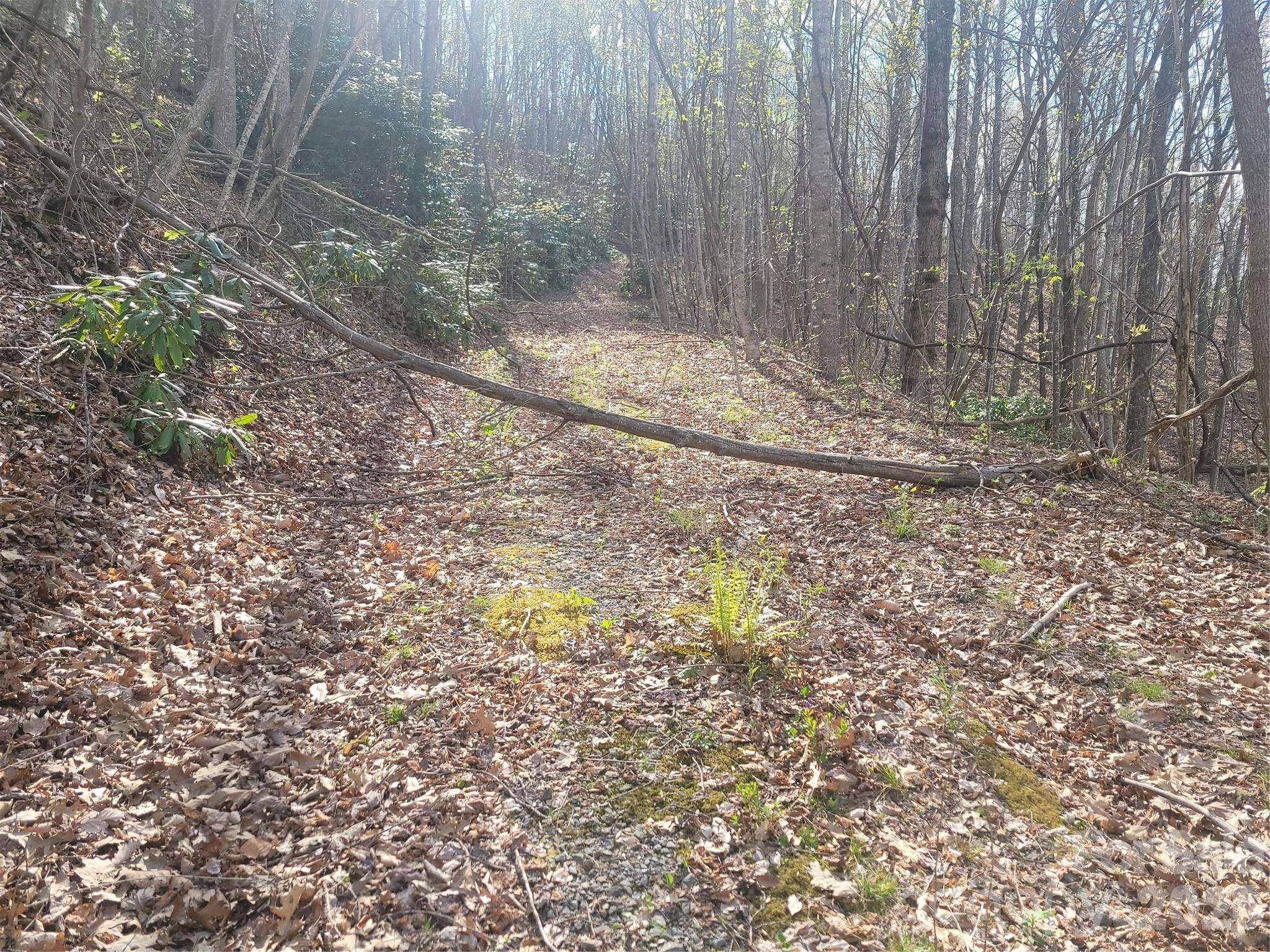 9999 Lytle Cove Road RD, Swannanoa, NC 28778