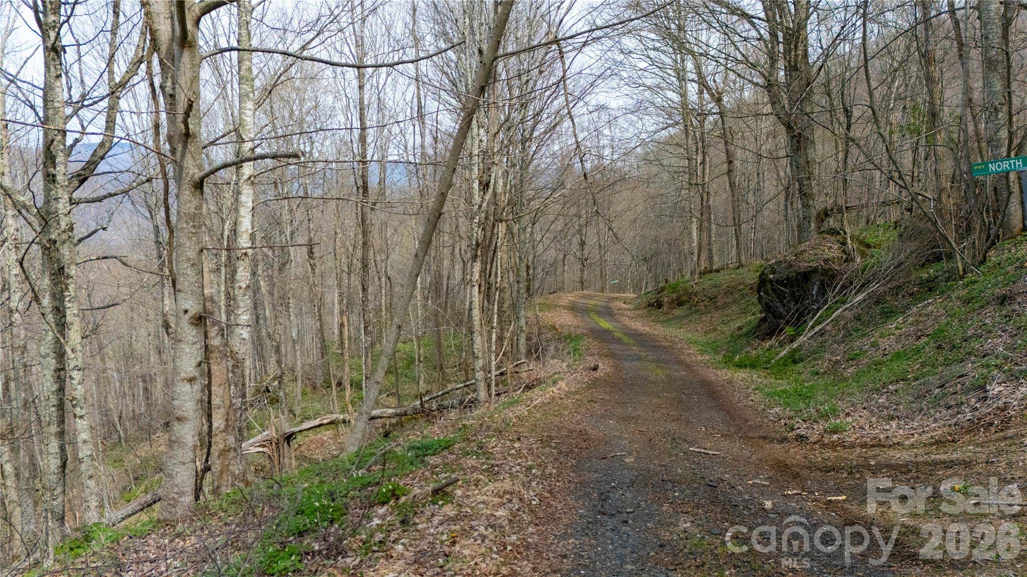 000 Tyler LN, Bakersville, NC 28705