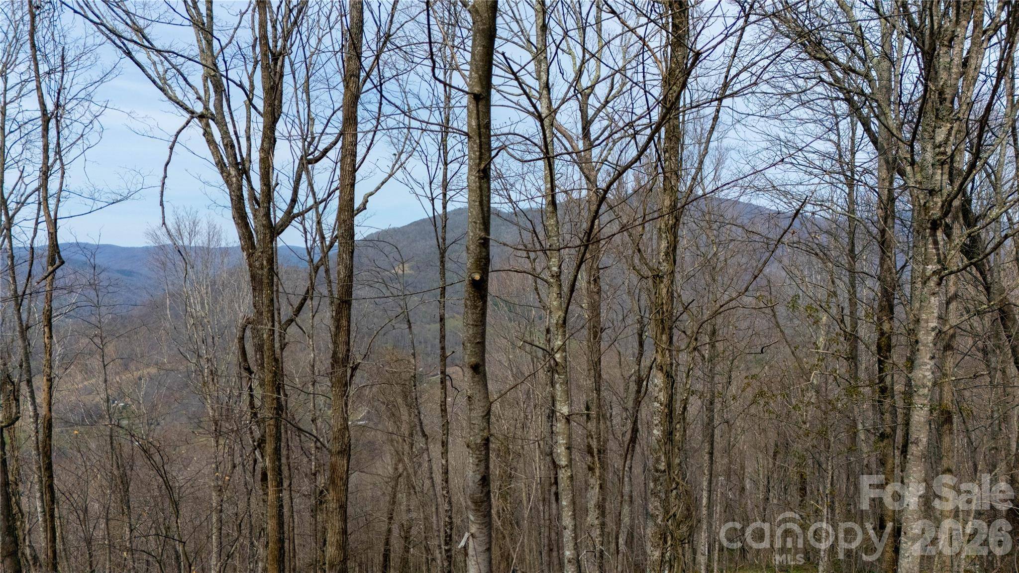000 Tyler LN, Bakersville, NC 28705