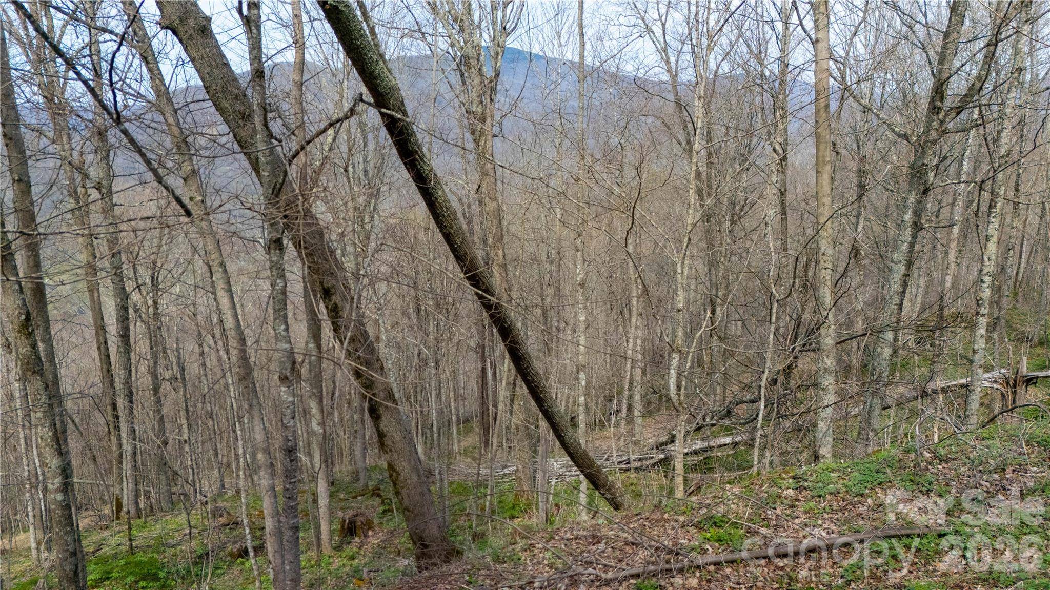 000 Tyler LN, Bakersville, NC 28705