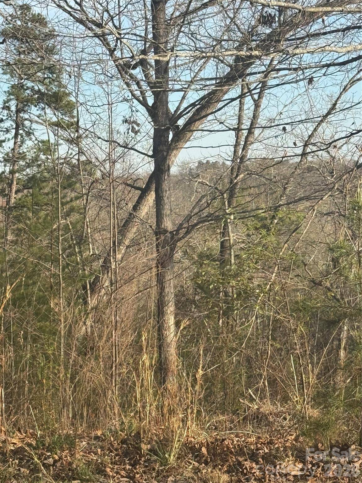 0 Willow Top LN #317, Lake Lure, NC 28746