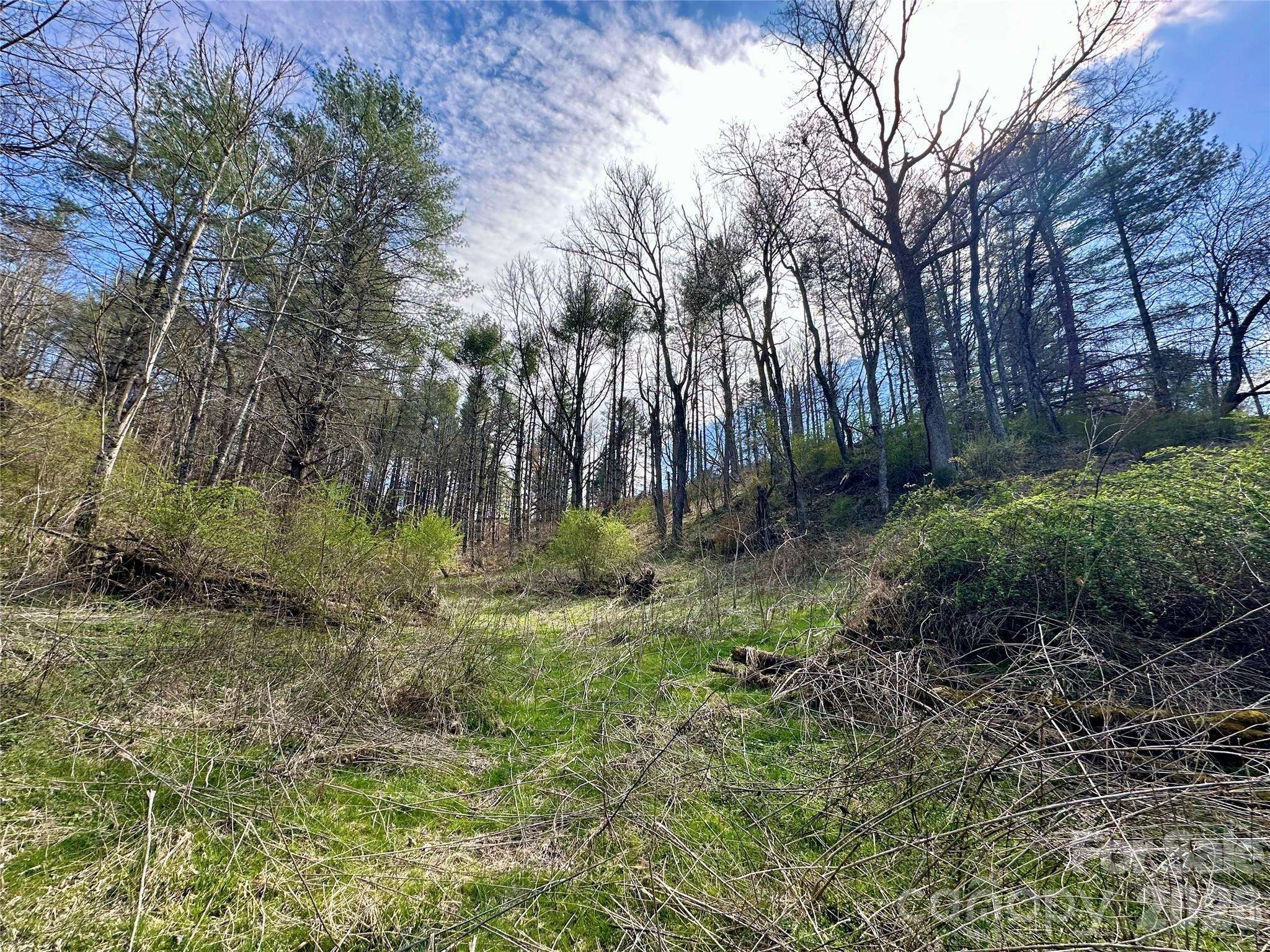 000 Mitchell AVE, Bakersville, NC 28705