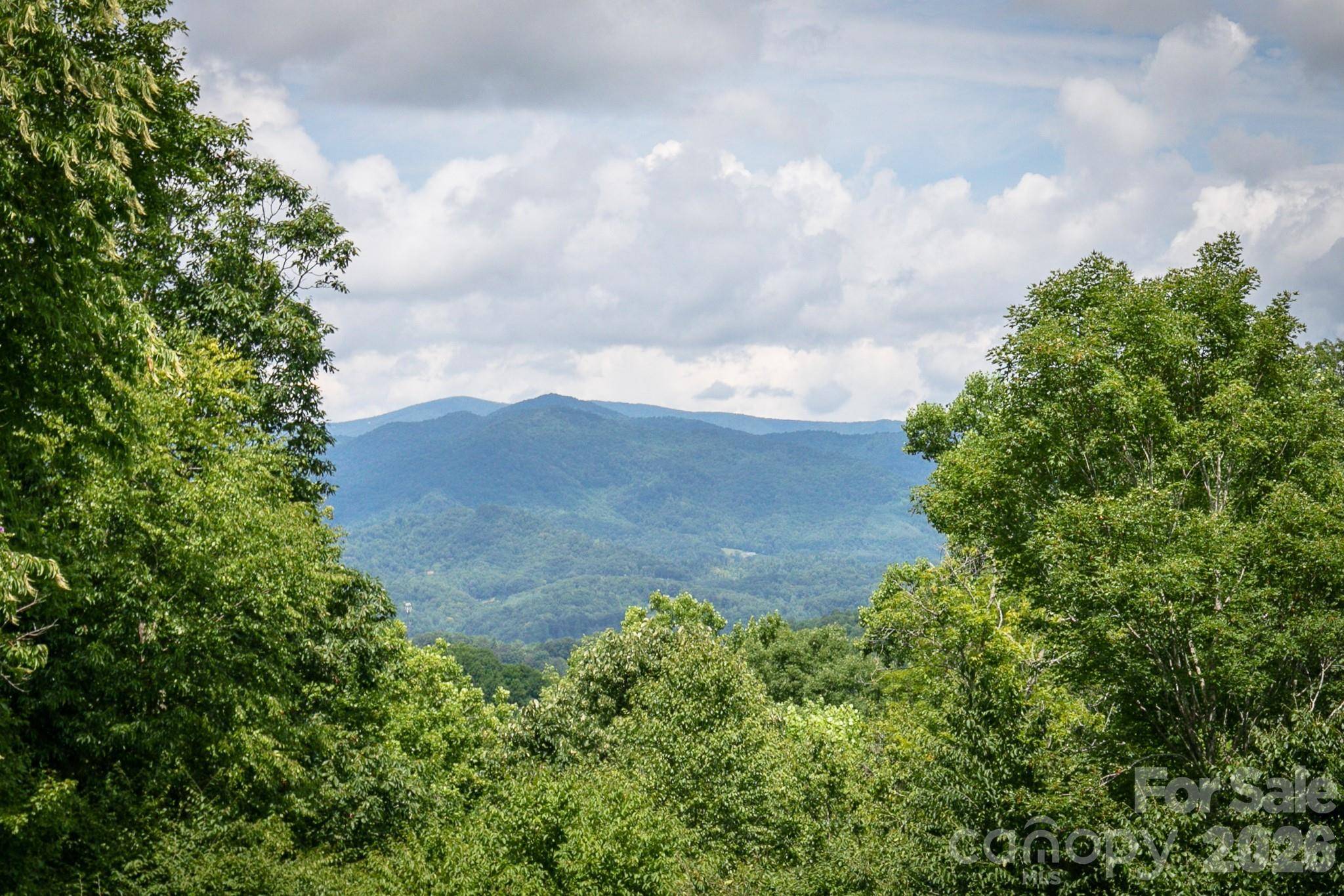 222 Creekside WAY #D202, Burnsville, NC 28714