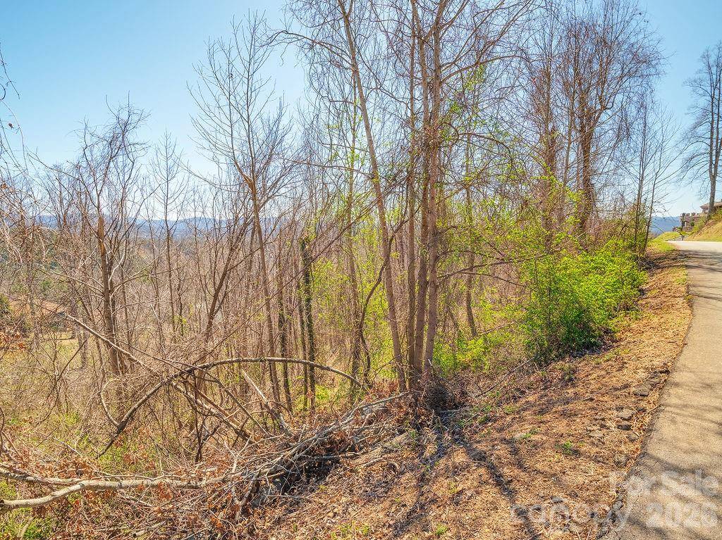 61 Ben Lippen School RD, Asheville, NC 28806