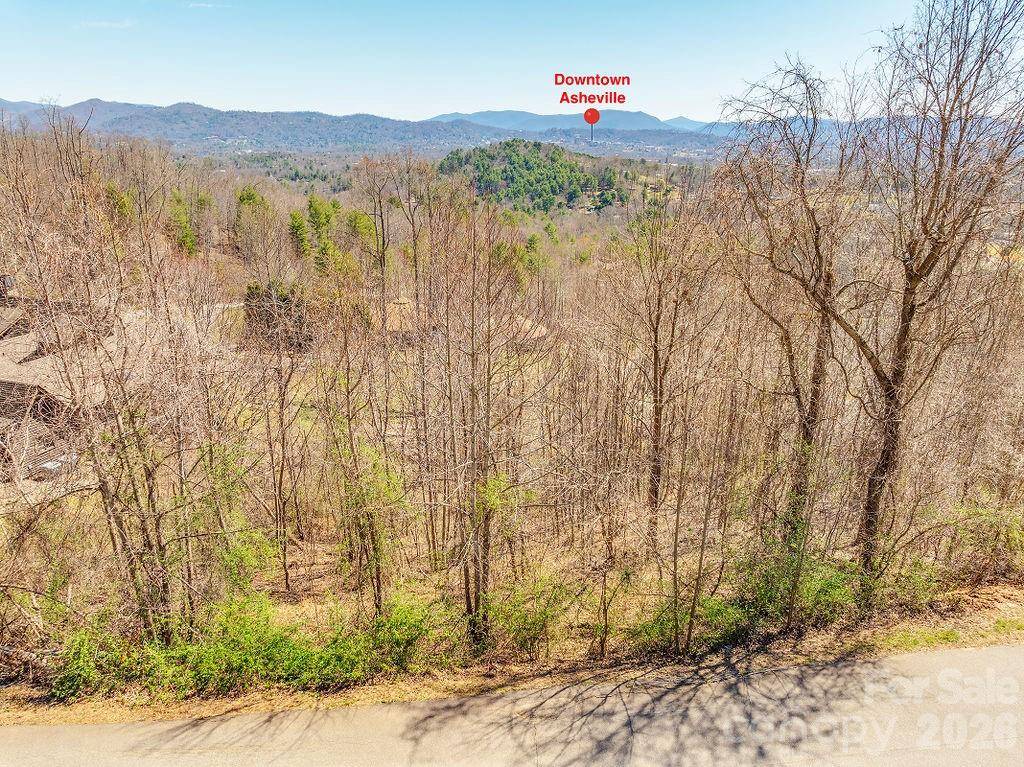 61 Ben Lippen School RD, Asheville, NC 28806