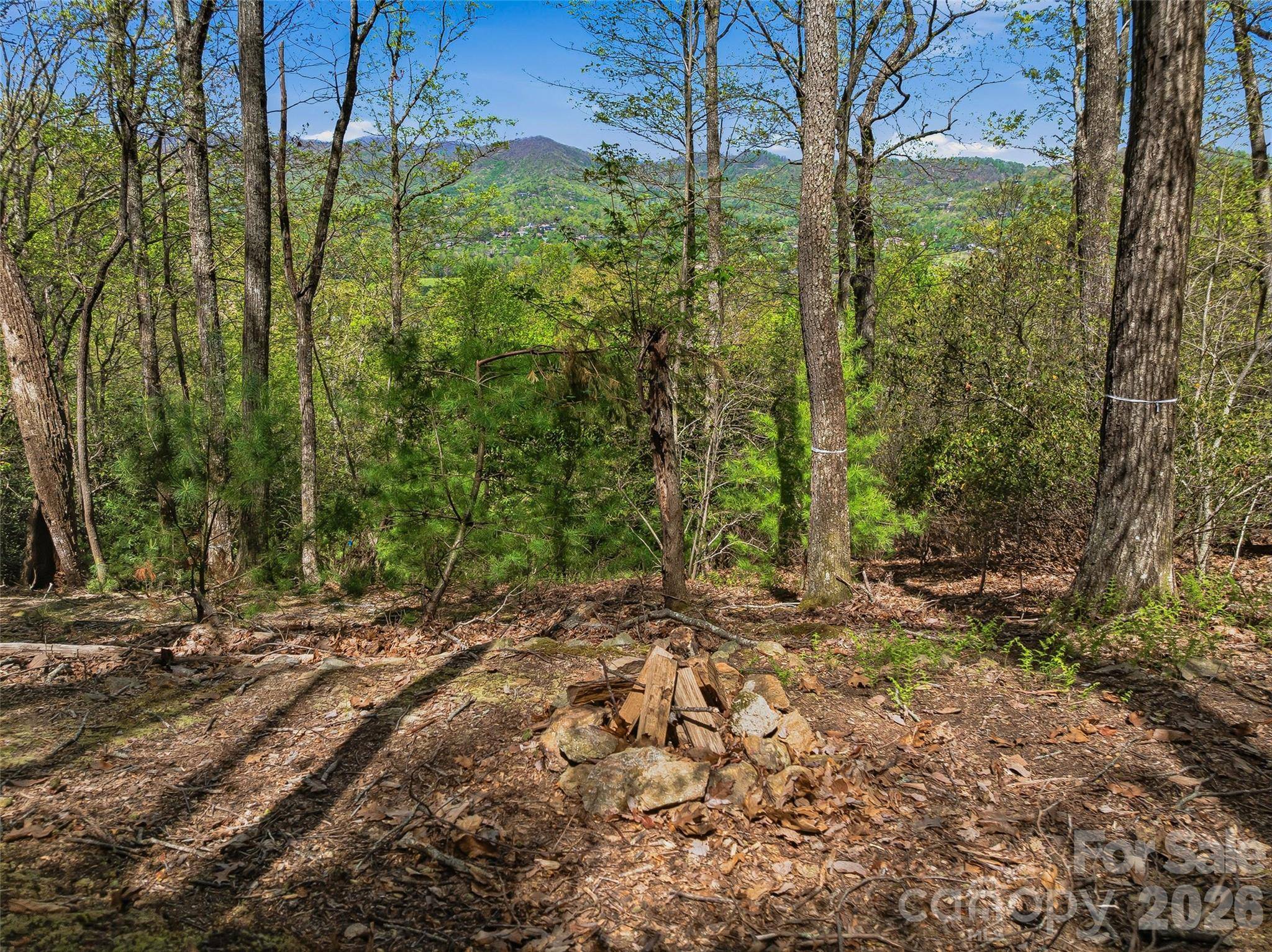 27 Deer Grass CT, Arden, NC 28704
