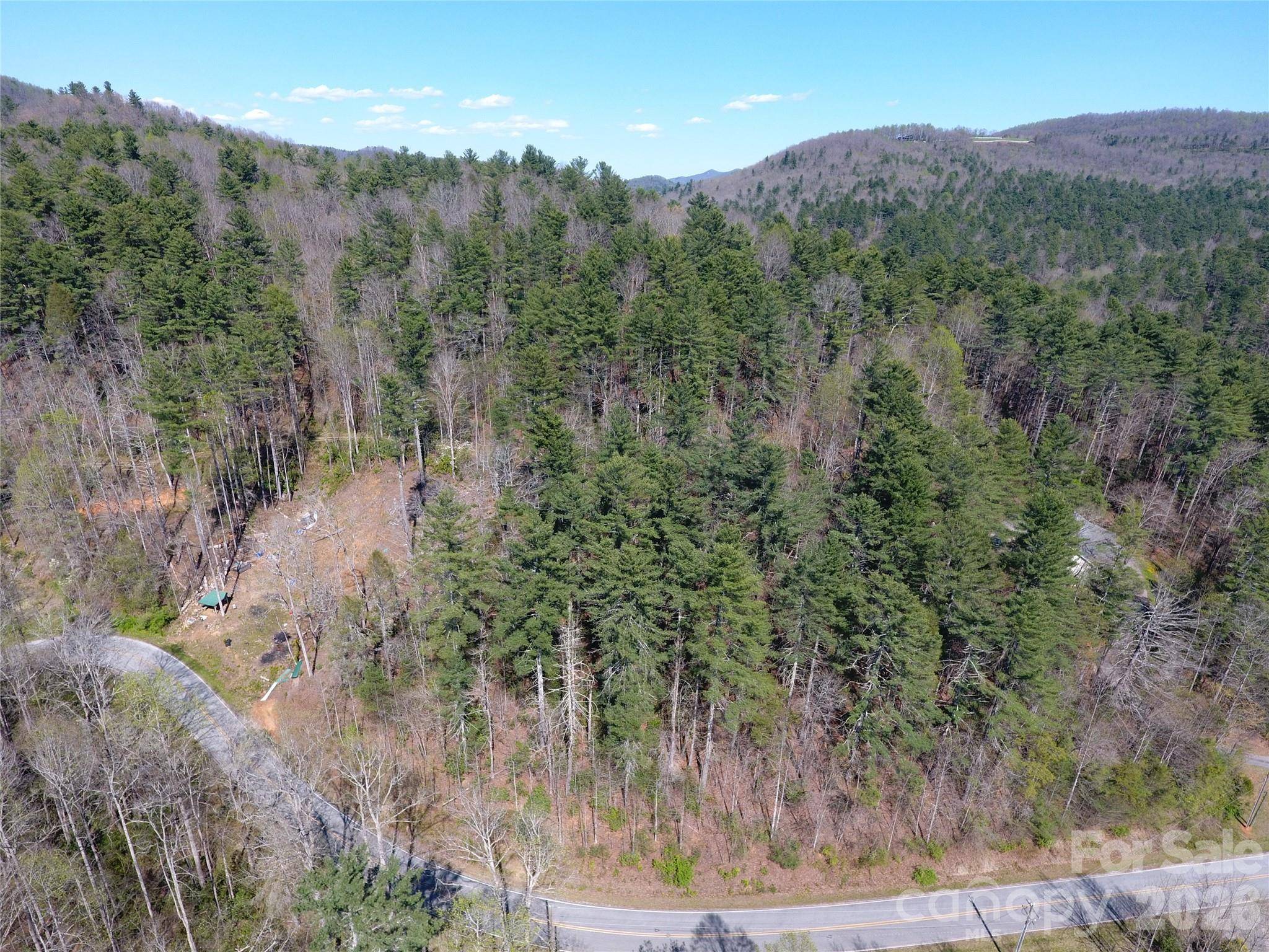 0000 Rock Creek RD, Zirconia, NC 28790