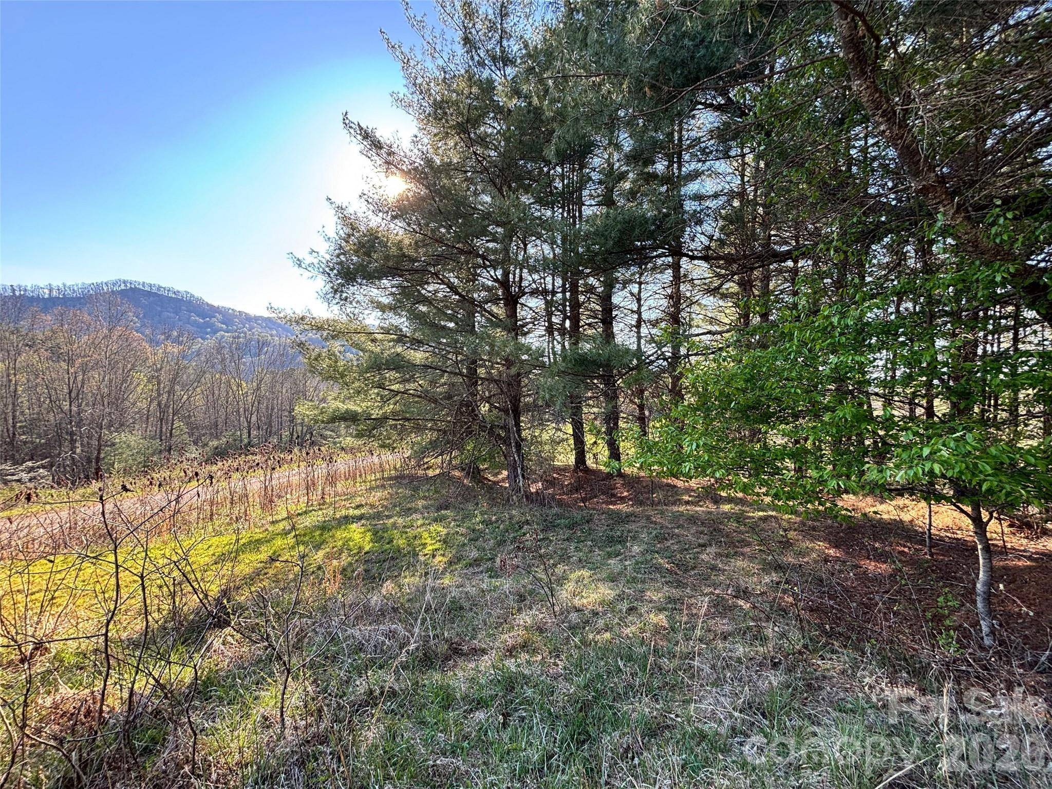24 Dream Valley DR #24, Clyde, NC 28721