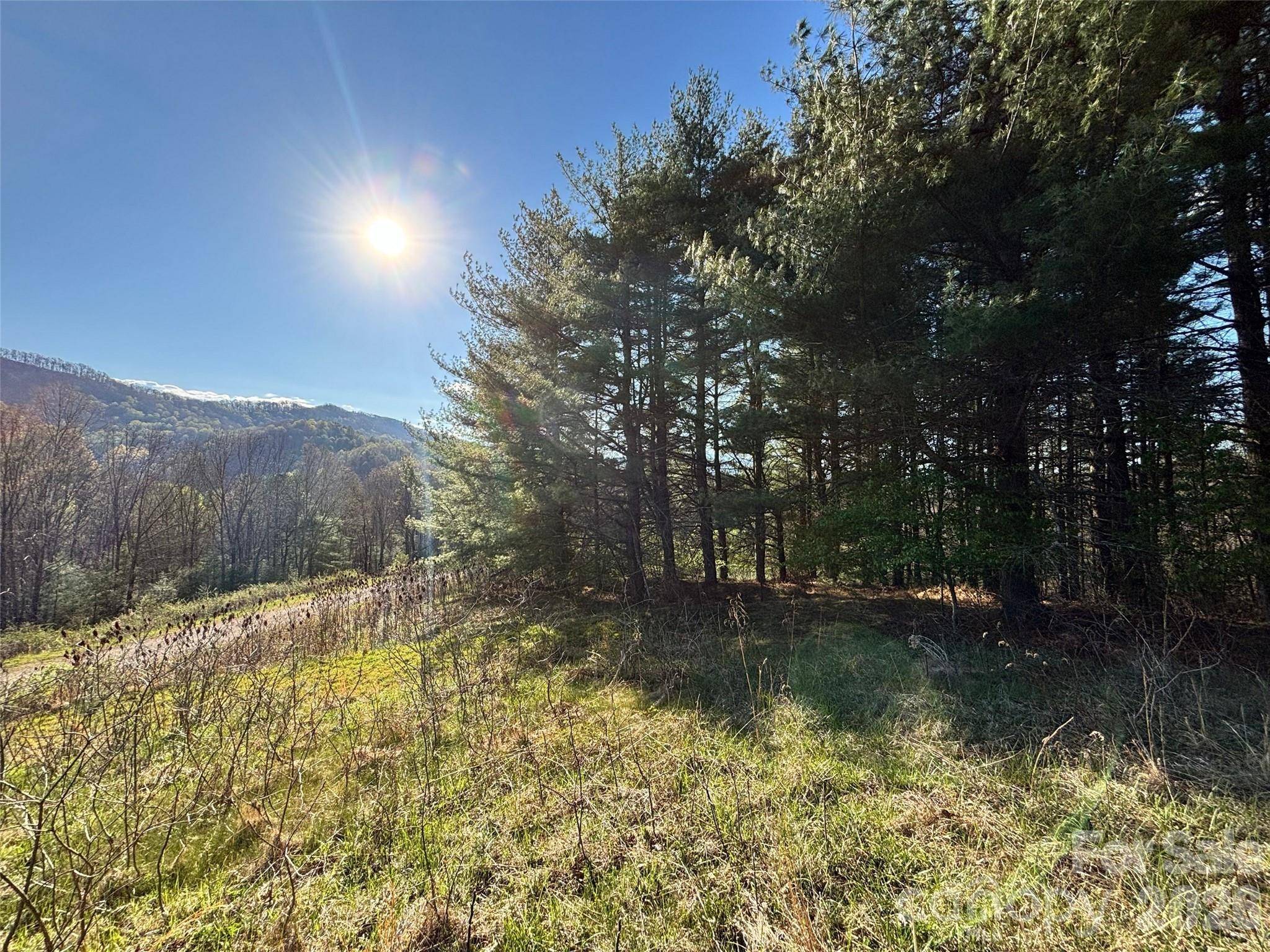24 Dream Valley DR #24, Clyde, NC 28721