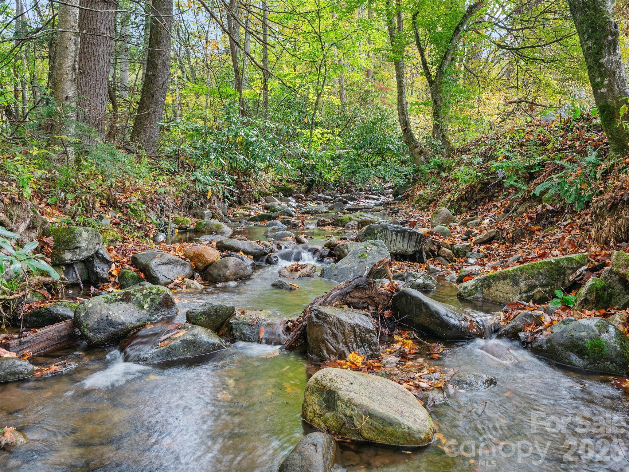 1030 Hughes Gap RD, Bakersville, NC 28705