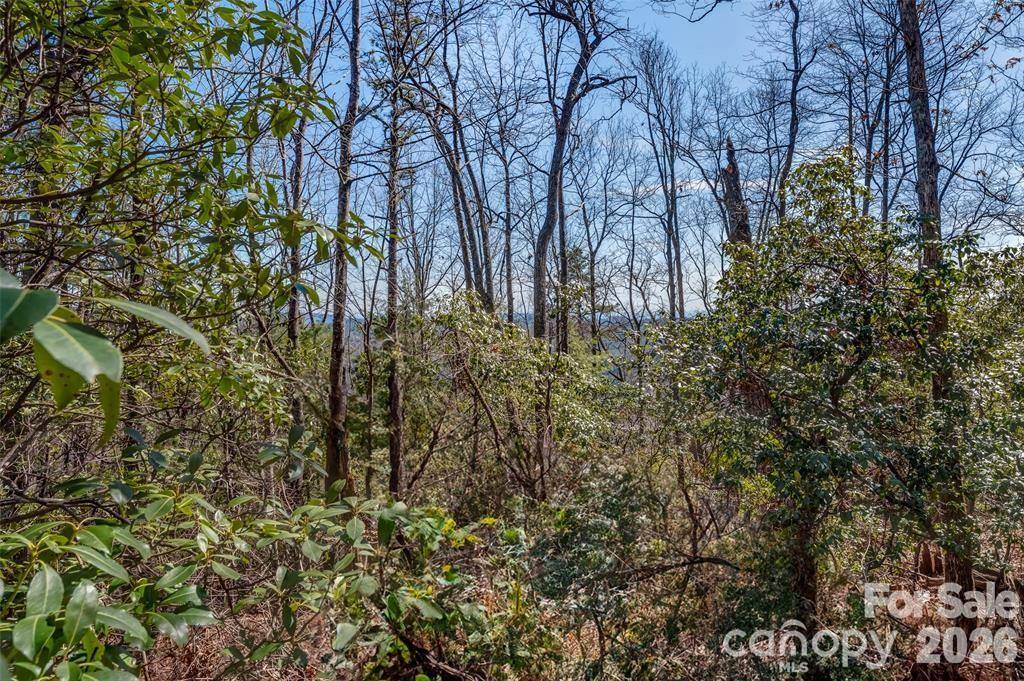 TBD Loganberry LN, Lake Toxaway, NC 28747