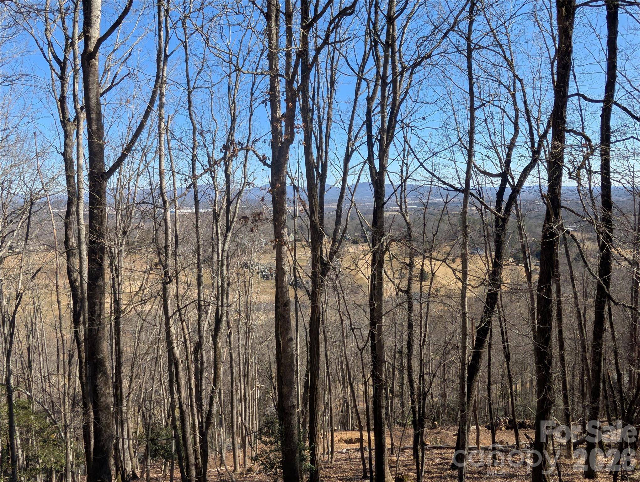 4 Wild Dogwood TRL, Mills River, NC 28759