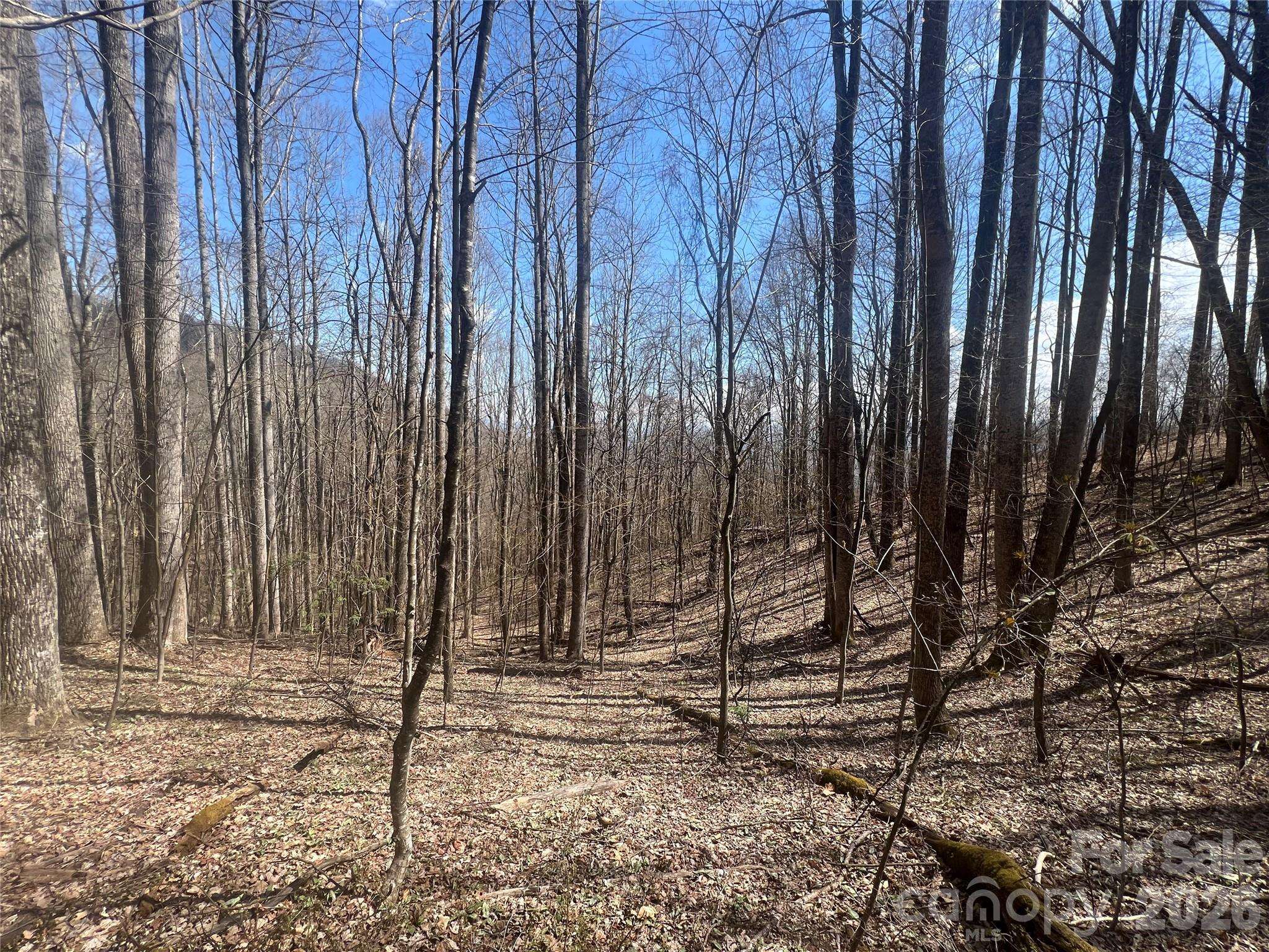 200 Wolverine CT #44, Waynesville, NC 28785