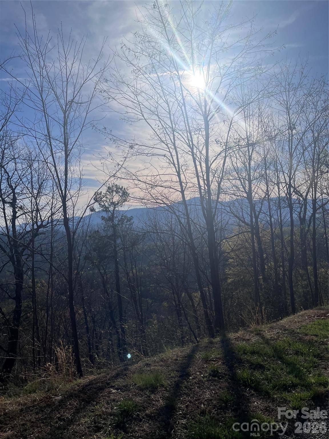 0 Golden Ridge DR #131, Lake Lure, NC 28746
