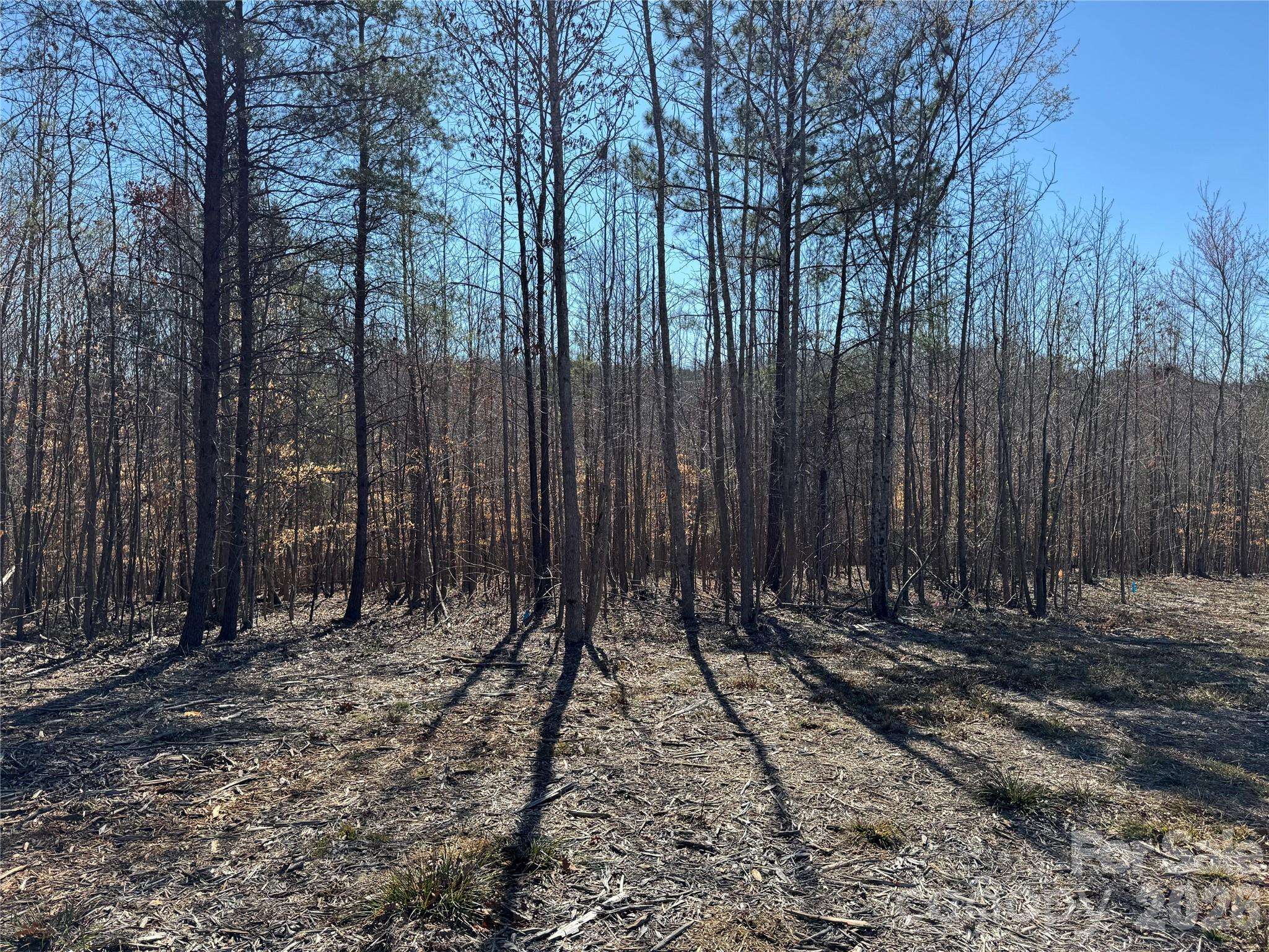 11490 King James BLVD #2, Davidson, NC 28036